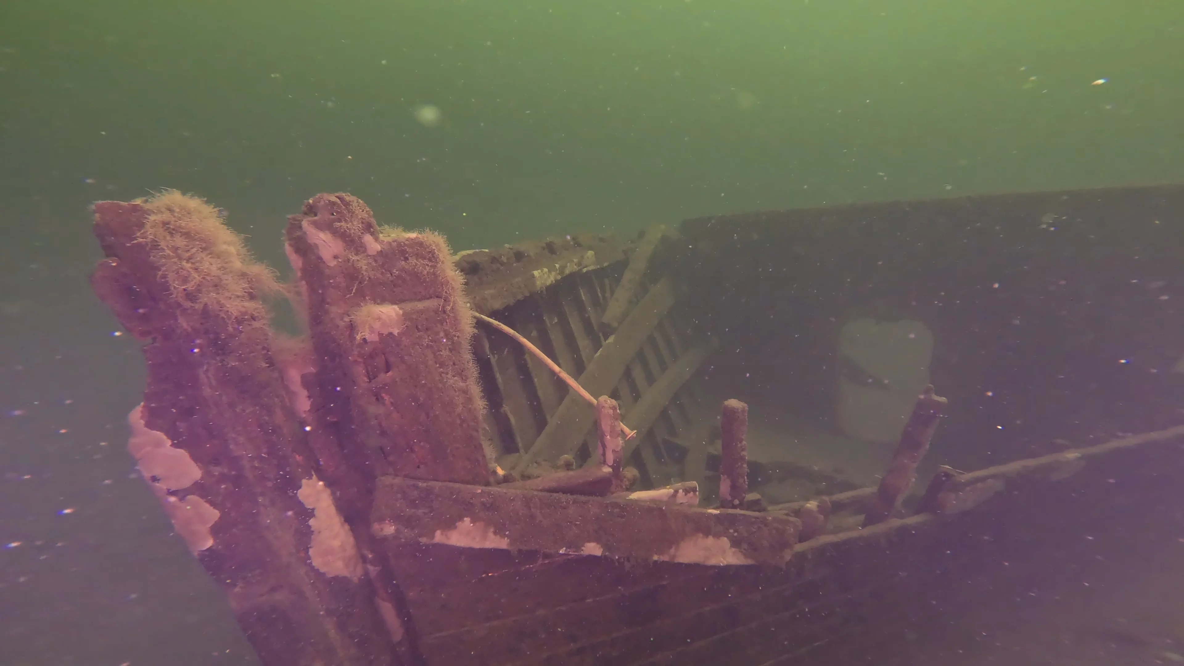 The Kahlenberg: Historic Navy Wreck (LU012), Lake Union, Seattle, WA — photo 4 of 31