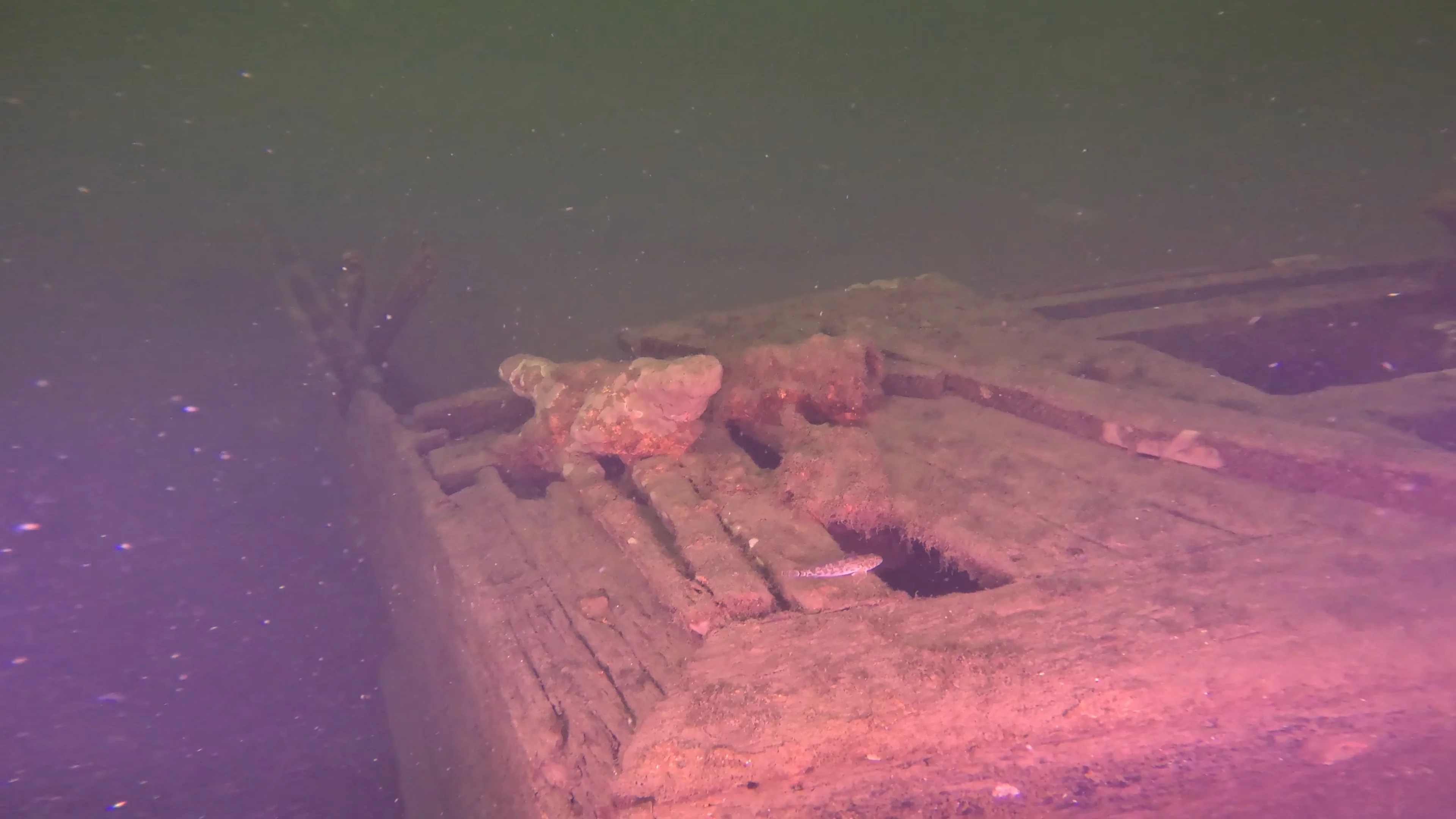The Kahlenberg: Historic Navy Wreck (LU012), Lake Union, Seattle, WA — photo 15 of 31