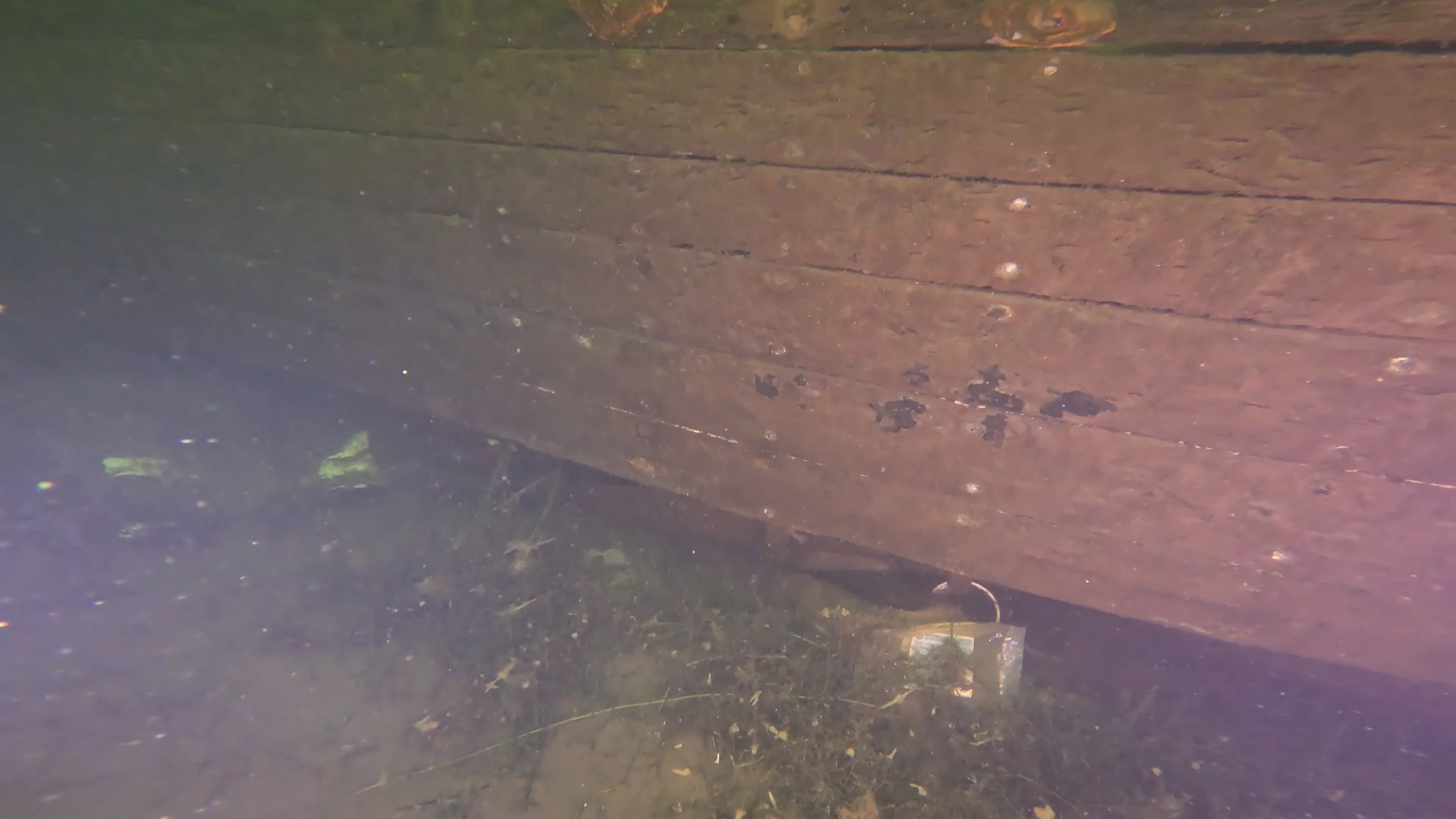 The Kahlenberg: Historic Navy Wreck (LU012), Lake Union, Seattle, WA — photo 16 of 31