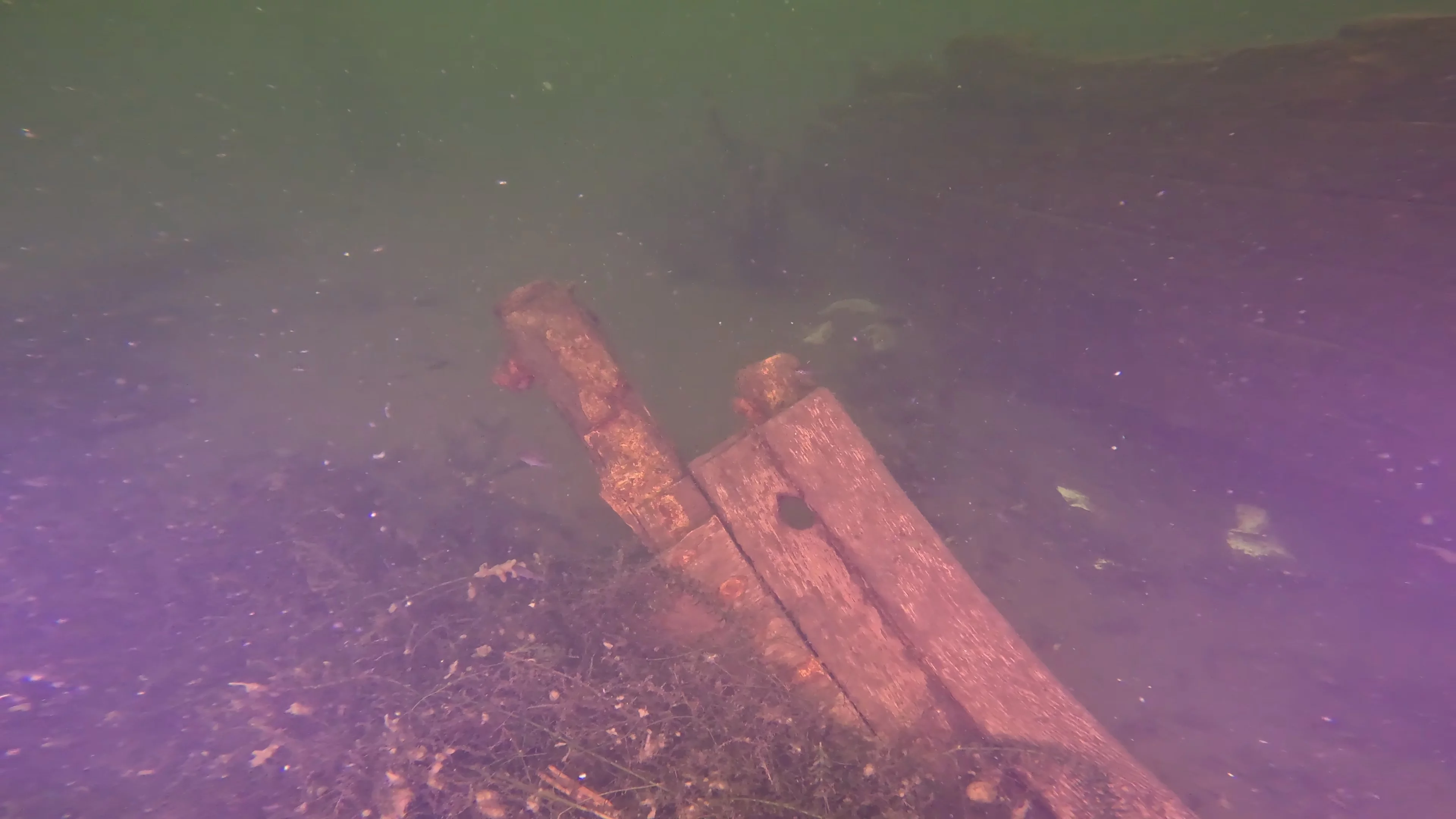 The Kahlenberg: Historic Navy Wreck (LU012), Lake Union, Seattle, WA — photo 17 of 31
