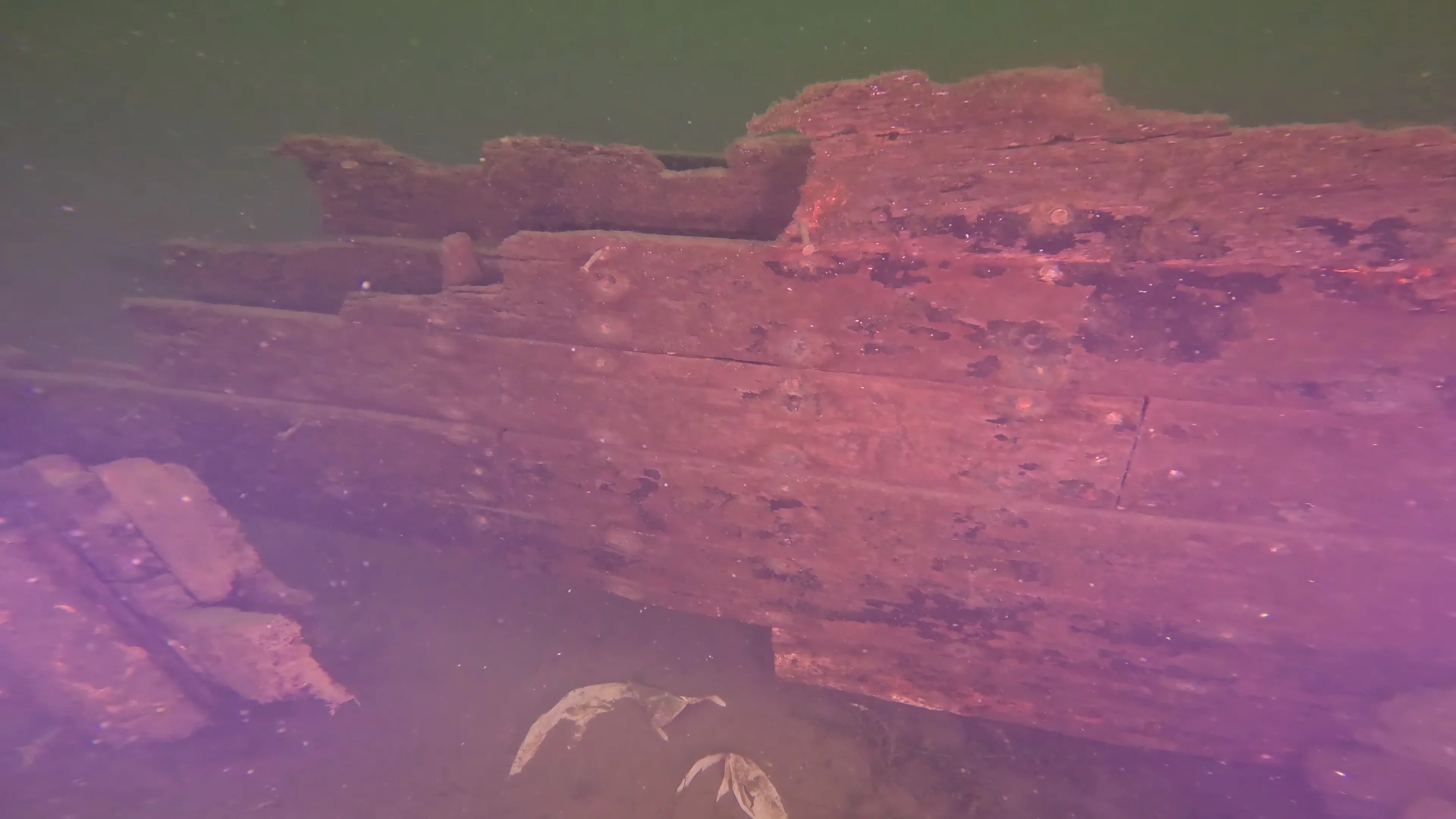 The Kahlenberg: Historic Navy Wreck (LU012), Lake Union, Seattle, WA — photo 19 of 31