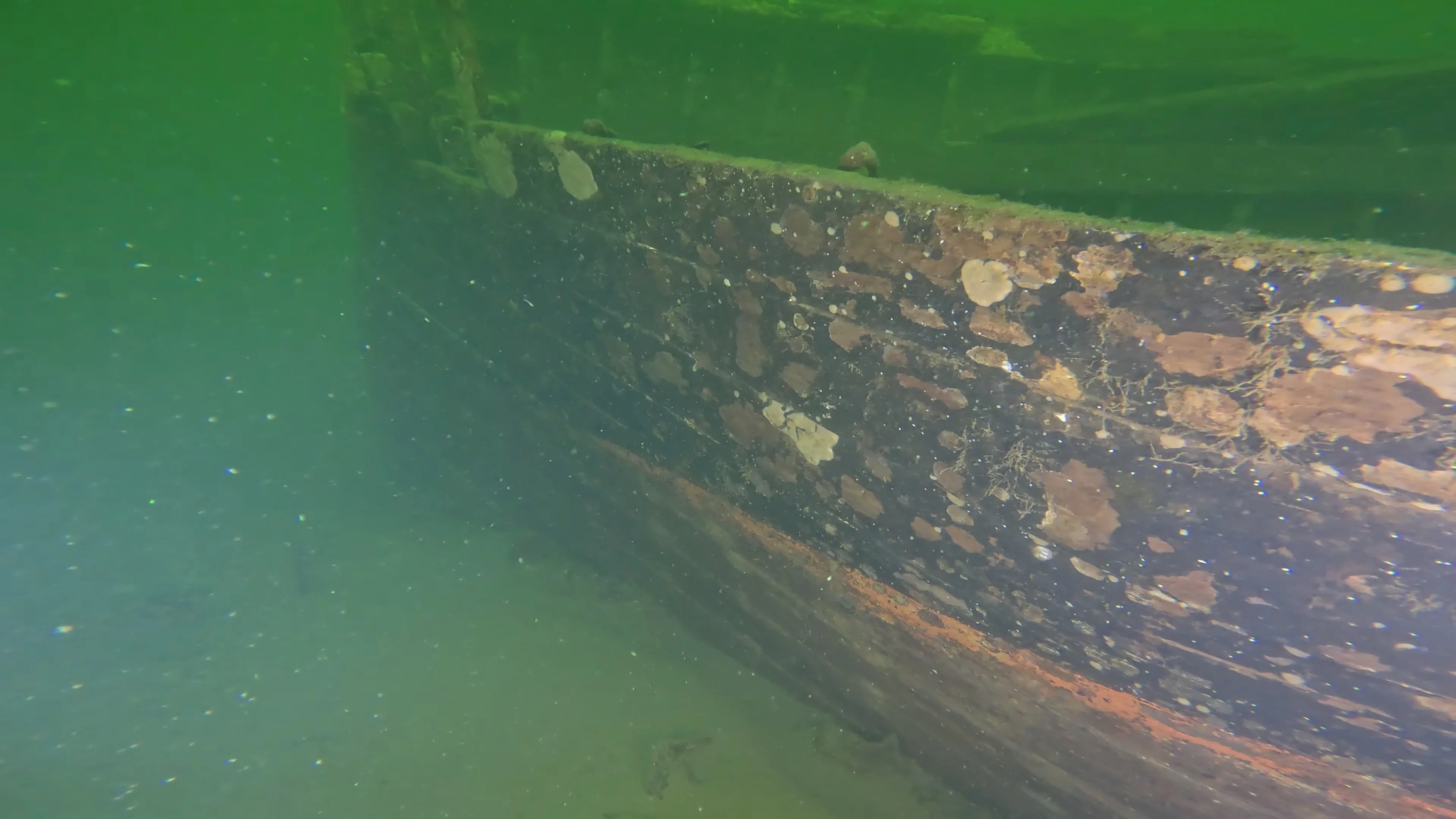The Kahlenberg: Historic Navy Wreck (LU012), Lake Union, Seattle, WA — photo 22 of 31