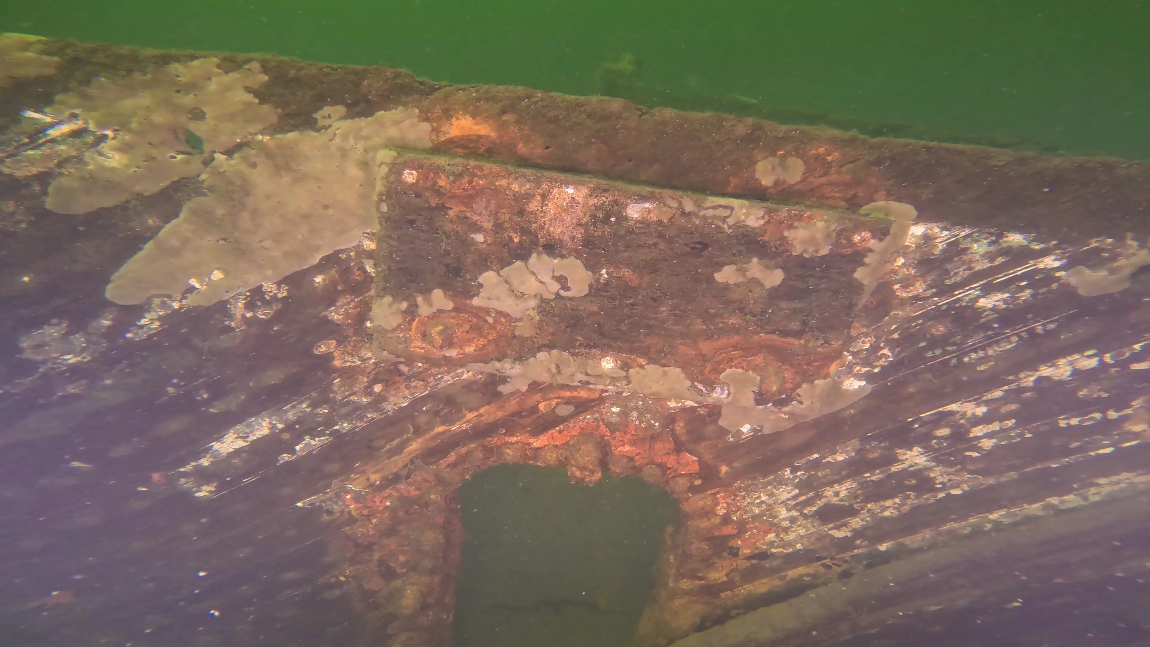 The Kahlenberg: Historic Navy Wreck (LU012), Lake Union, Seattle, WA — photo 24 of 31