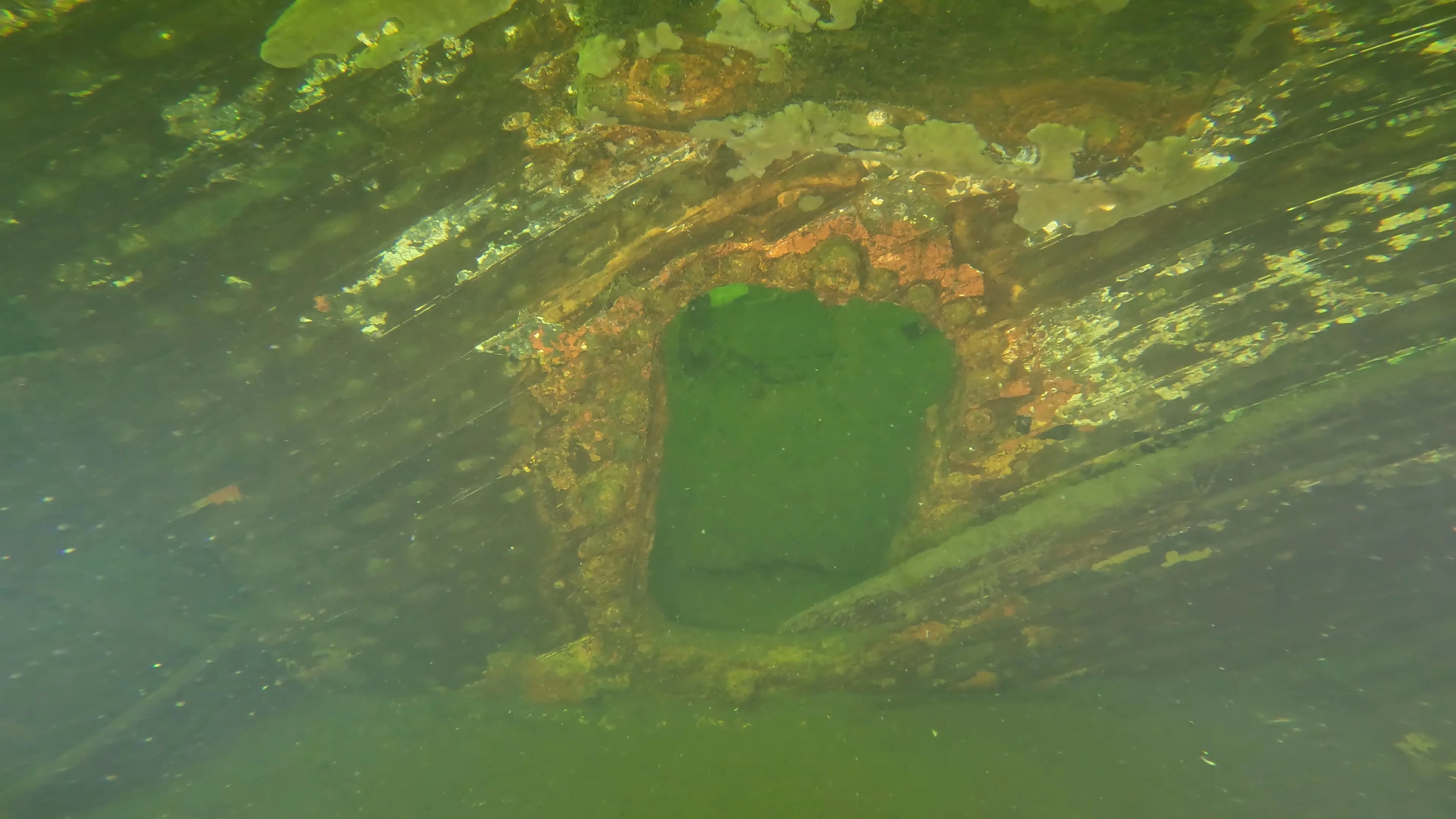 The Kahlenberg: Historic Navy Wreck (LU012), Lake Union, Seattle, WA — photo 25 of 31