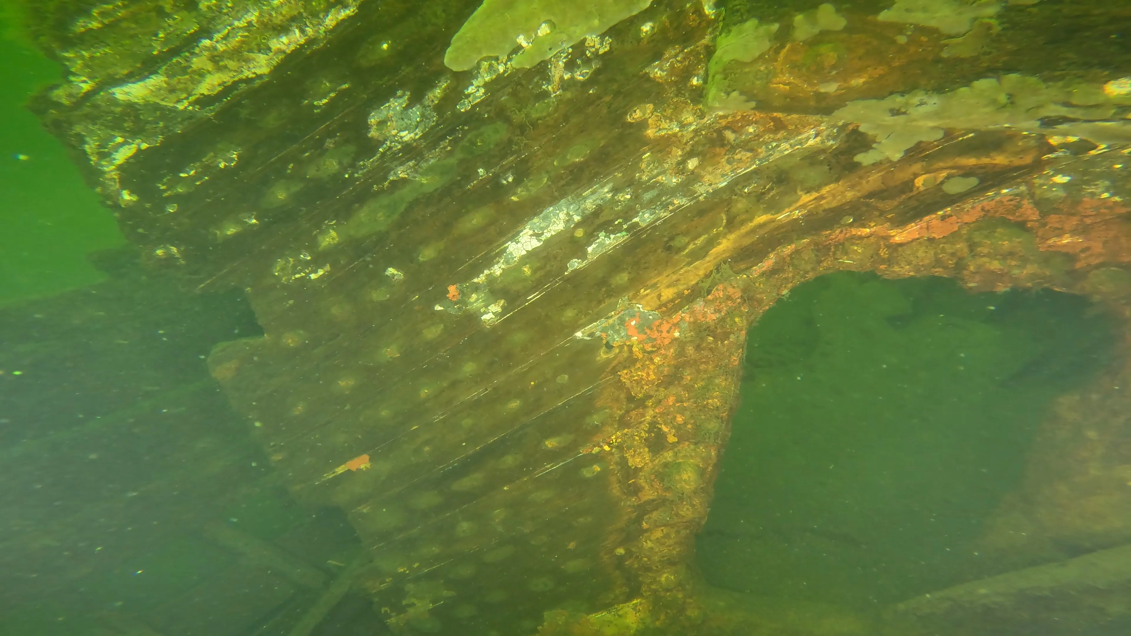 The Kahlenberg: Historic Navy Wreck (LU012), Lake Union, Seattle, WA — photo 26 of 31