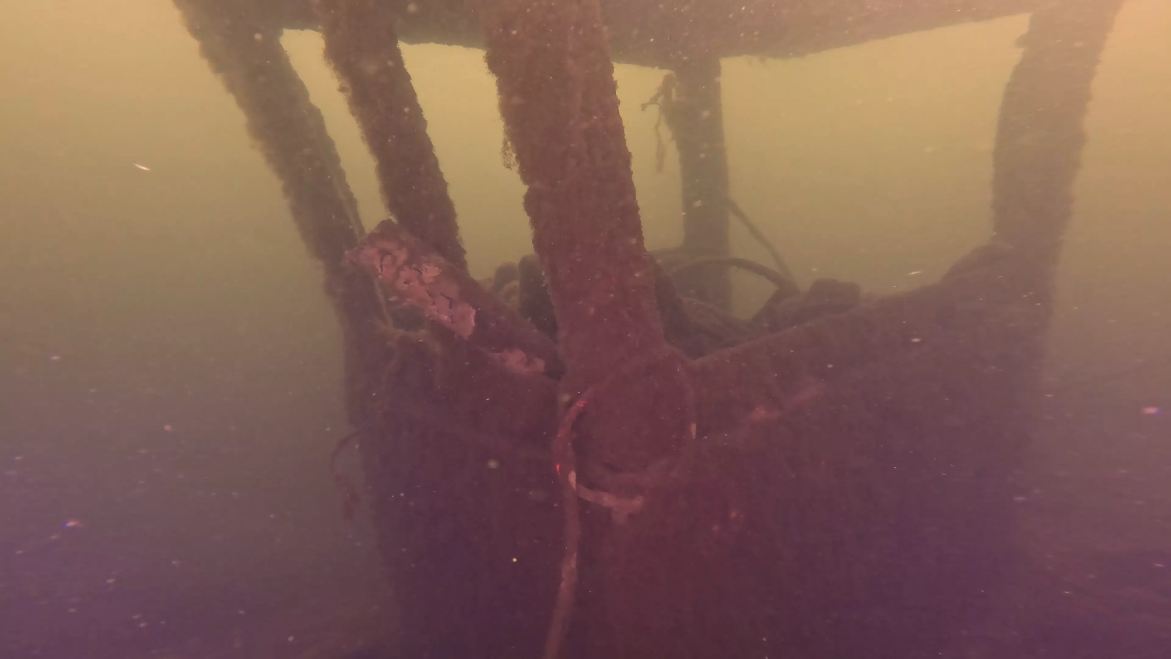 Steel Workboat Wreck (LU021), Lake Union, Seattle, WA — photo 9 of 25