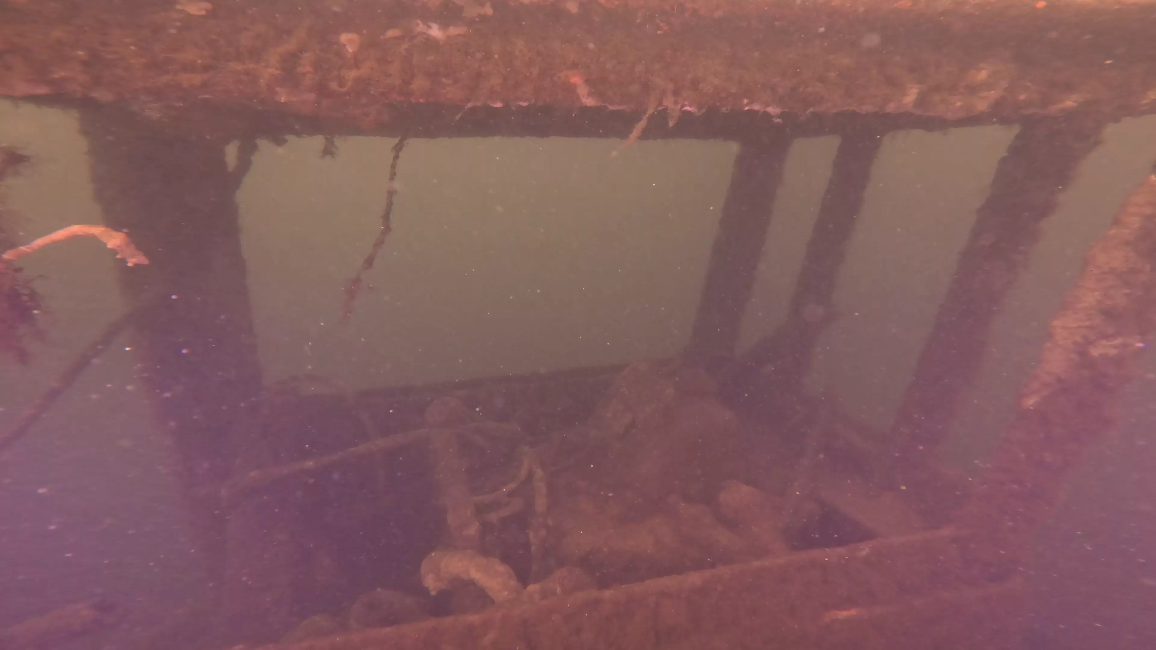 Steel Workboat Wreck (LU021), Lake Union, Seattle, WA — photo 15 of 25
