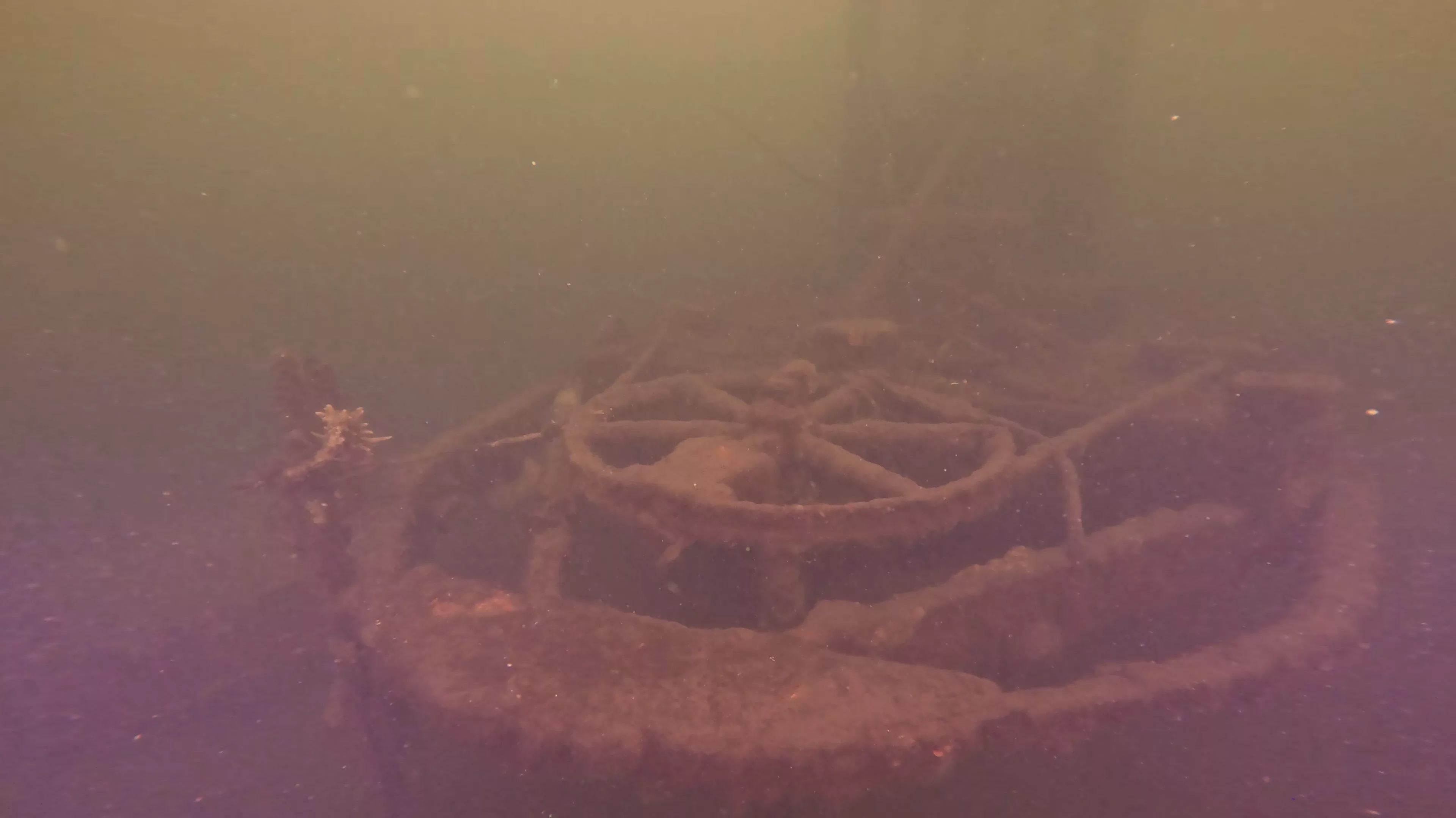 Steel Workboat Wreck (LU021), Lake Union, Seattle, WA — photo 16 of 25