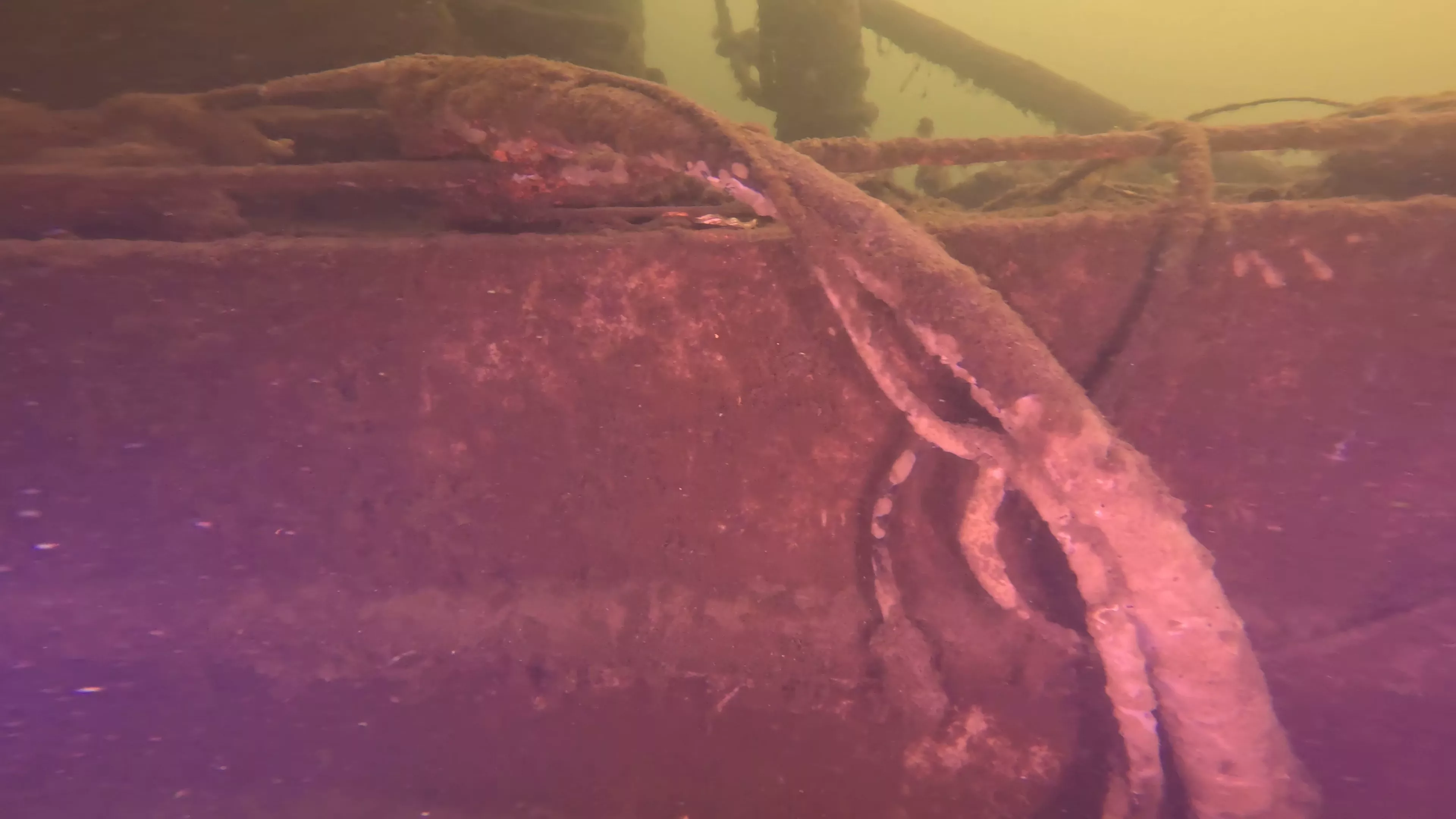 Steel Workboat Wreck (LU021), Lake Union, Seattle, WA — photo 20 of 25