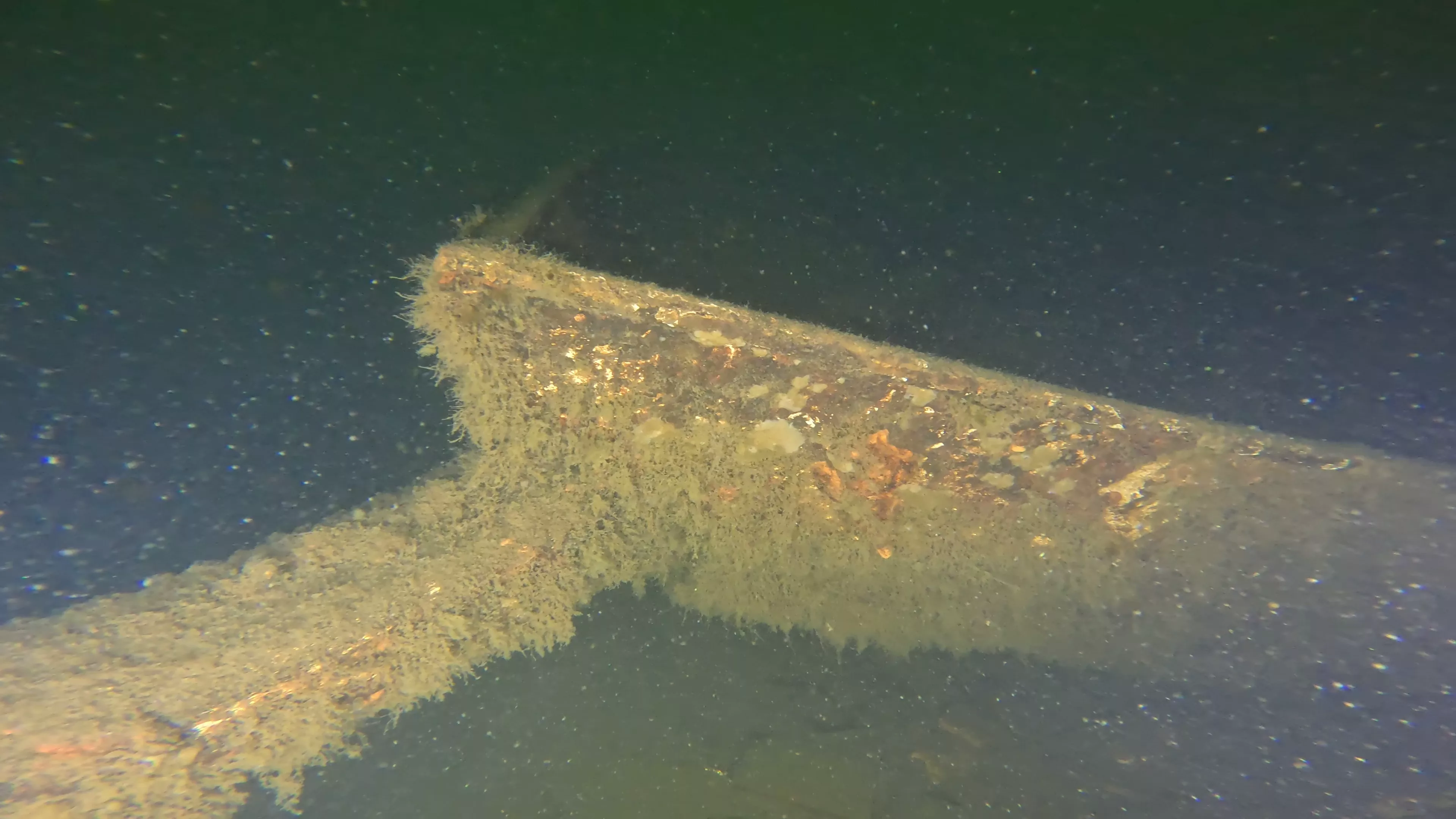 33' Bowsprit Sailboat Wreck (LU024), Lake Union, Seattle, WA — main photo