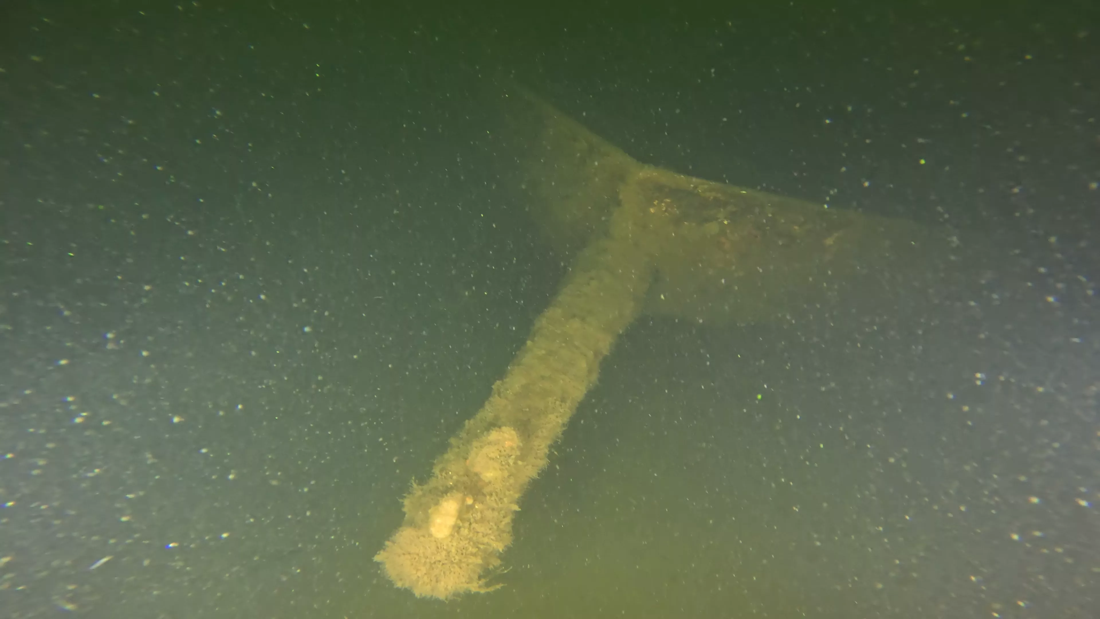 33' Bowsprit Sailboat Wreck (LU024), Lake Union, Seattle, WA — photo 3 of 11