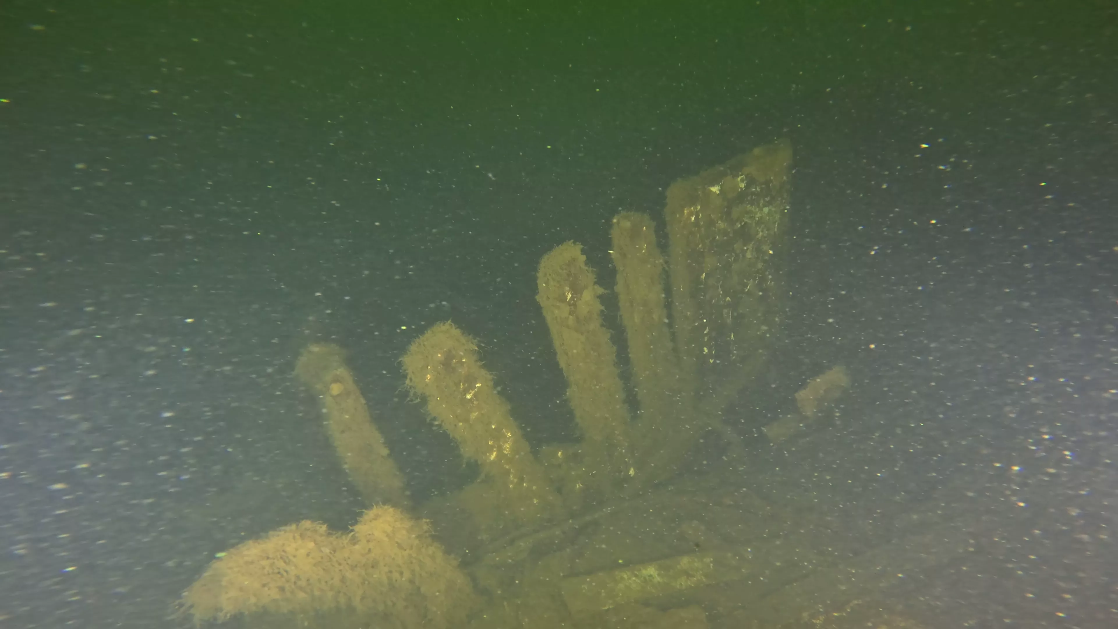 33' Bowsprit Sailboat Wreck (LU024), Lake Union, Seattle, WA — photo 6 of 11