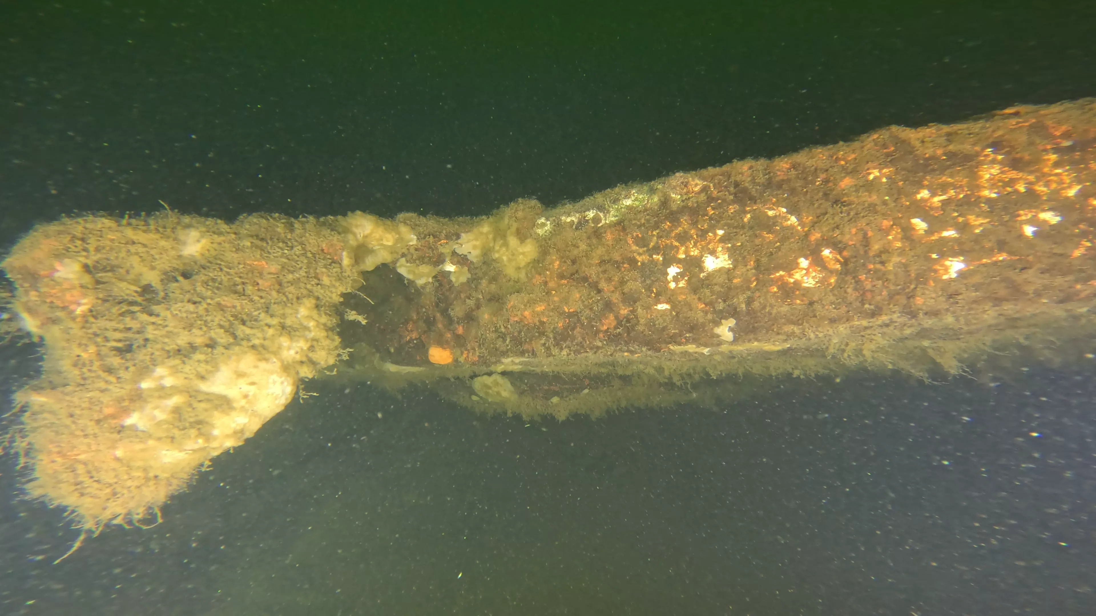 33' Bowsprit Sailboat Wreck (LU024), Lake Union, Seattle, WA — photo 11 of 11