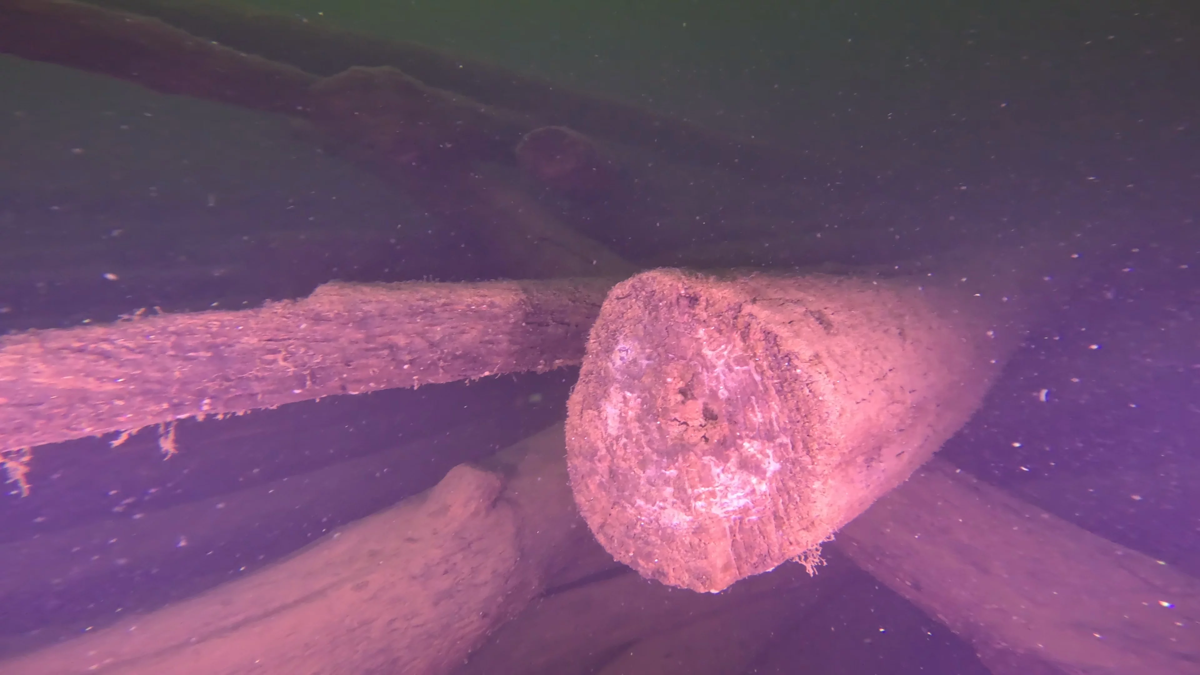 Log Pile Debris (LU025), Lake Union, Seattle, WA — photo 3 of 21