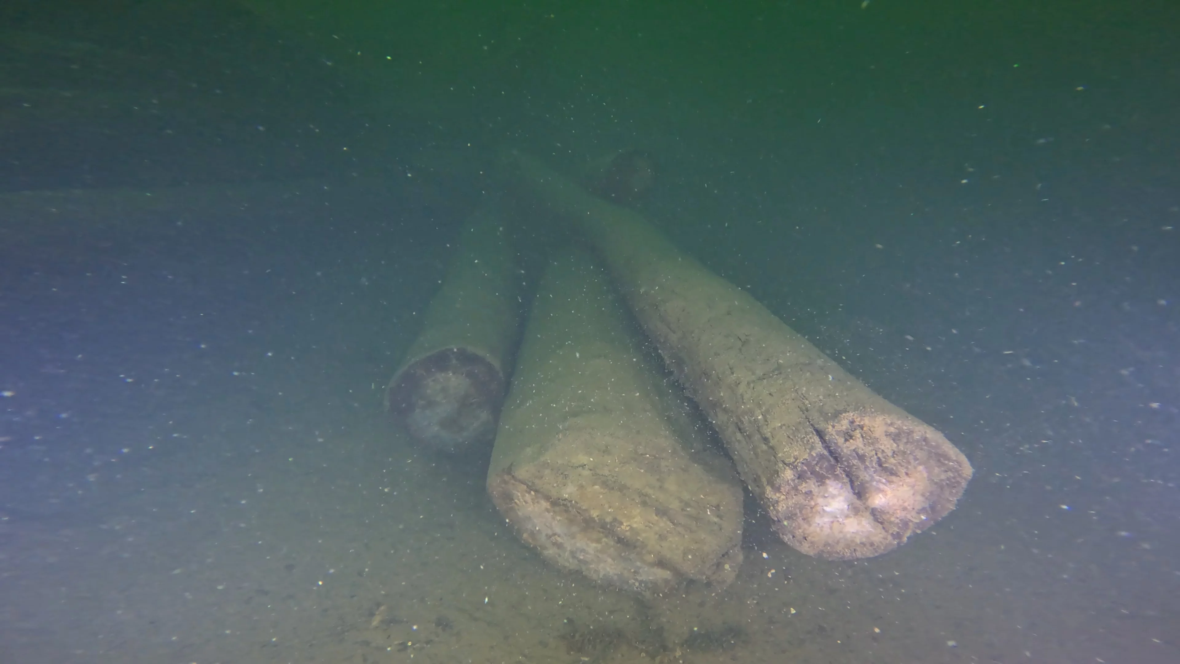Log Pile Debris (LU025), Lake Union, Seattle, WA — photo 5 of 21