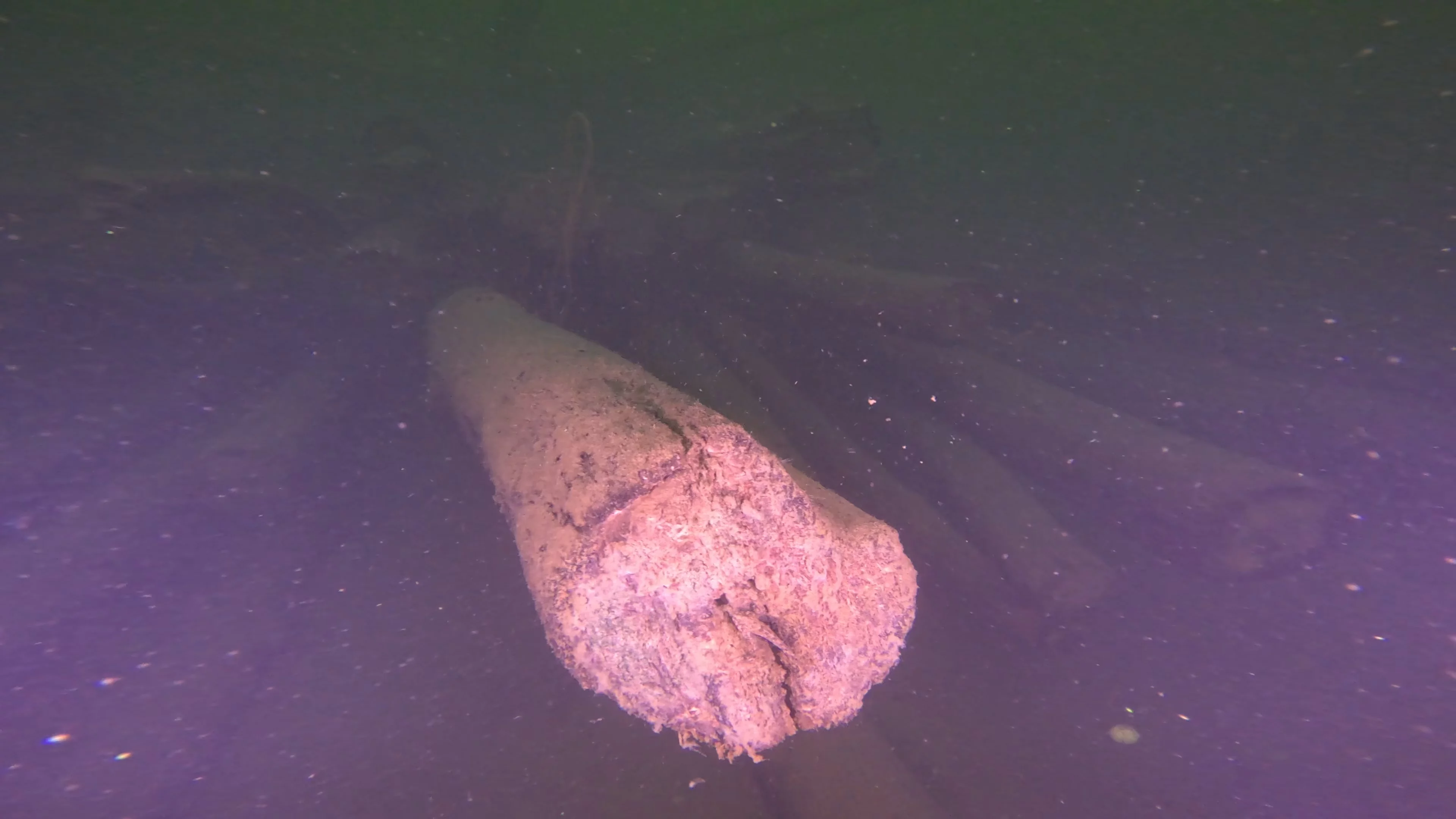 Log Pile Debris (LU025), Lake Union, Seattle, WA — photo 6 of 21