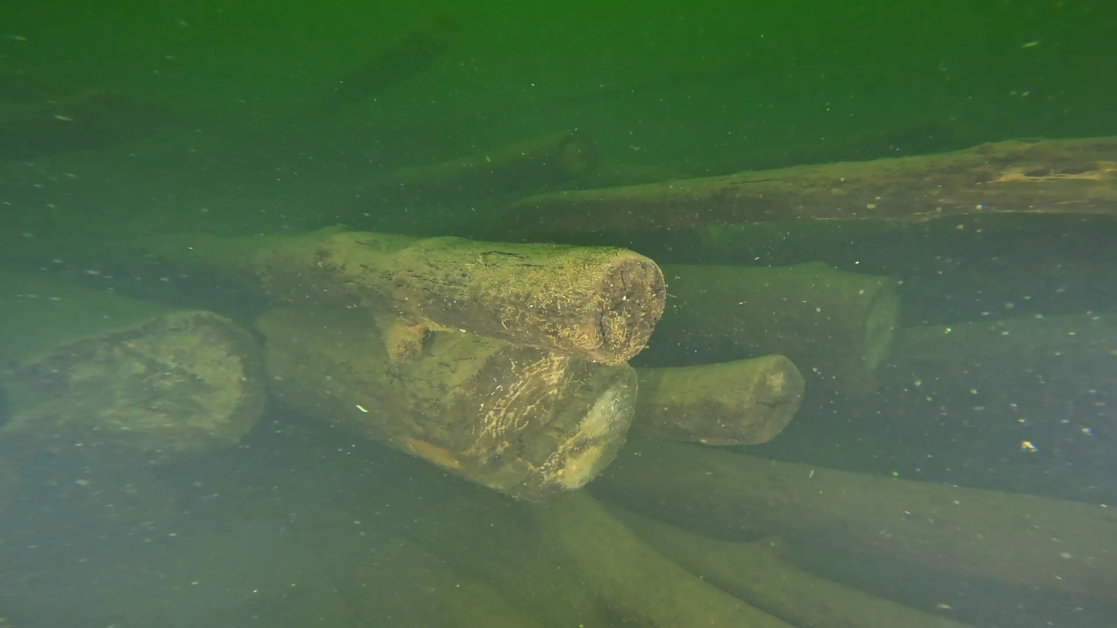 Log Pile Debris (LU025), Lake Union, Seattle, WA — photo 12 of 21