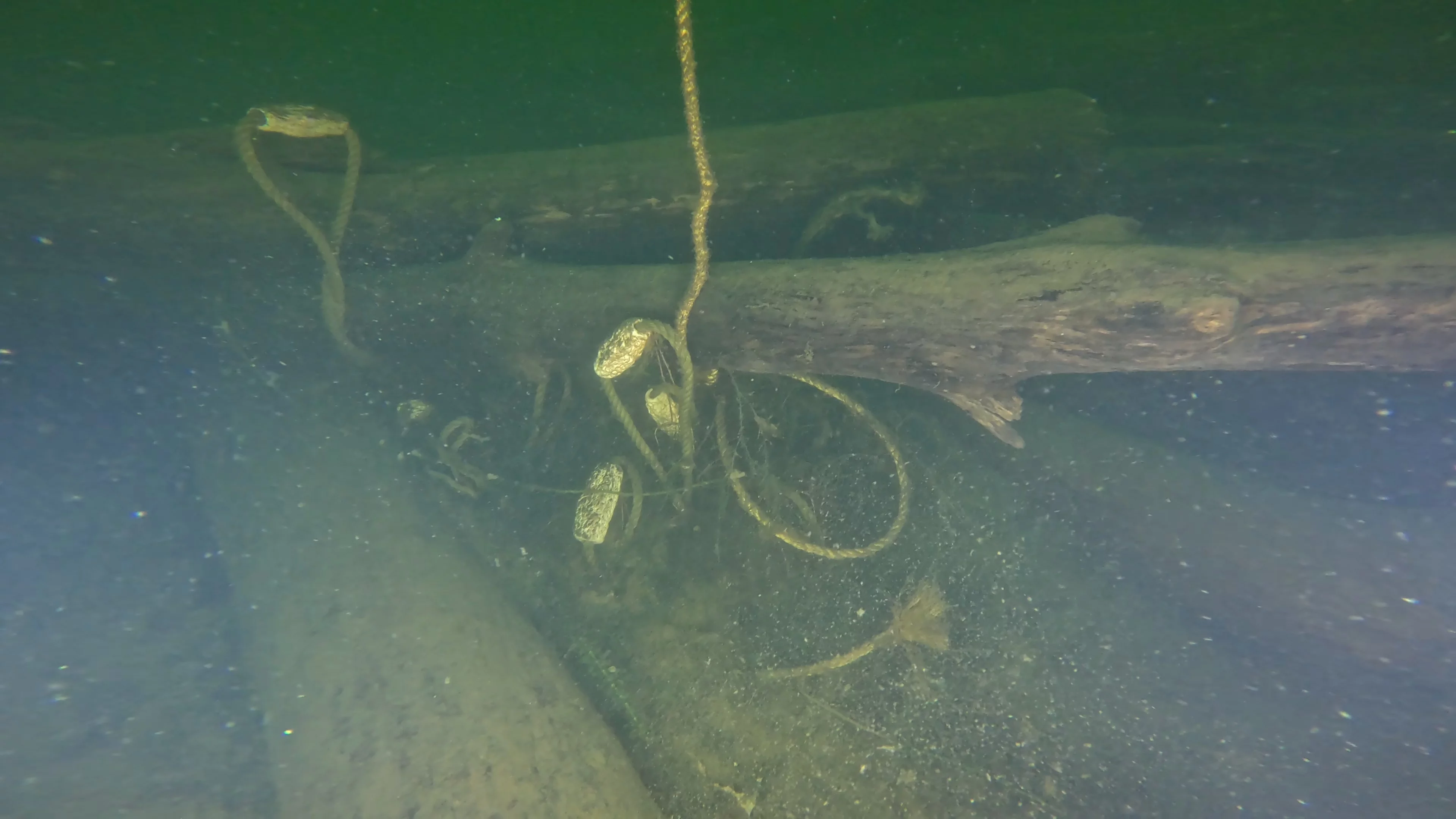 Log Pile Debris (LU025), Lake Union, Seattle, WA — photo 14 of 21