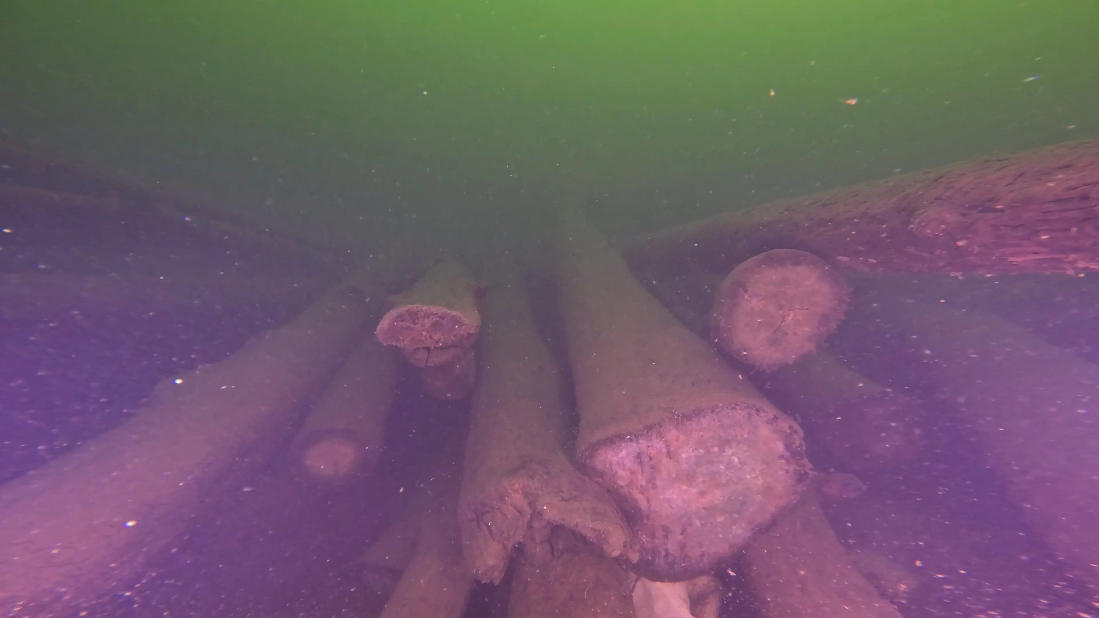 Log Pile Debris (LU025), Lake Union, Seattle, WA — photo 19 of 21