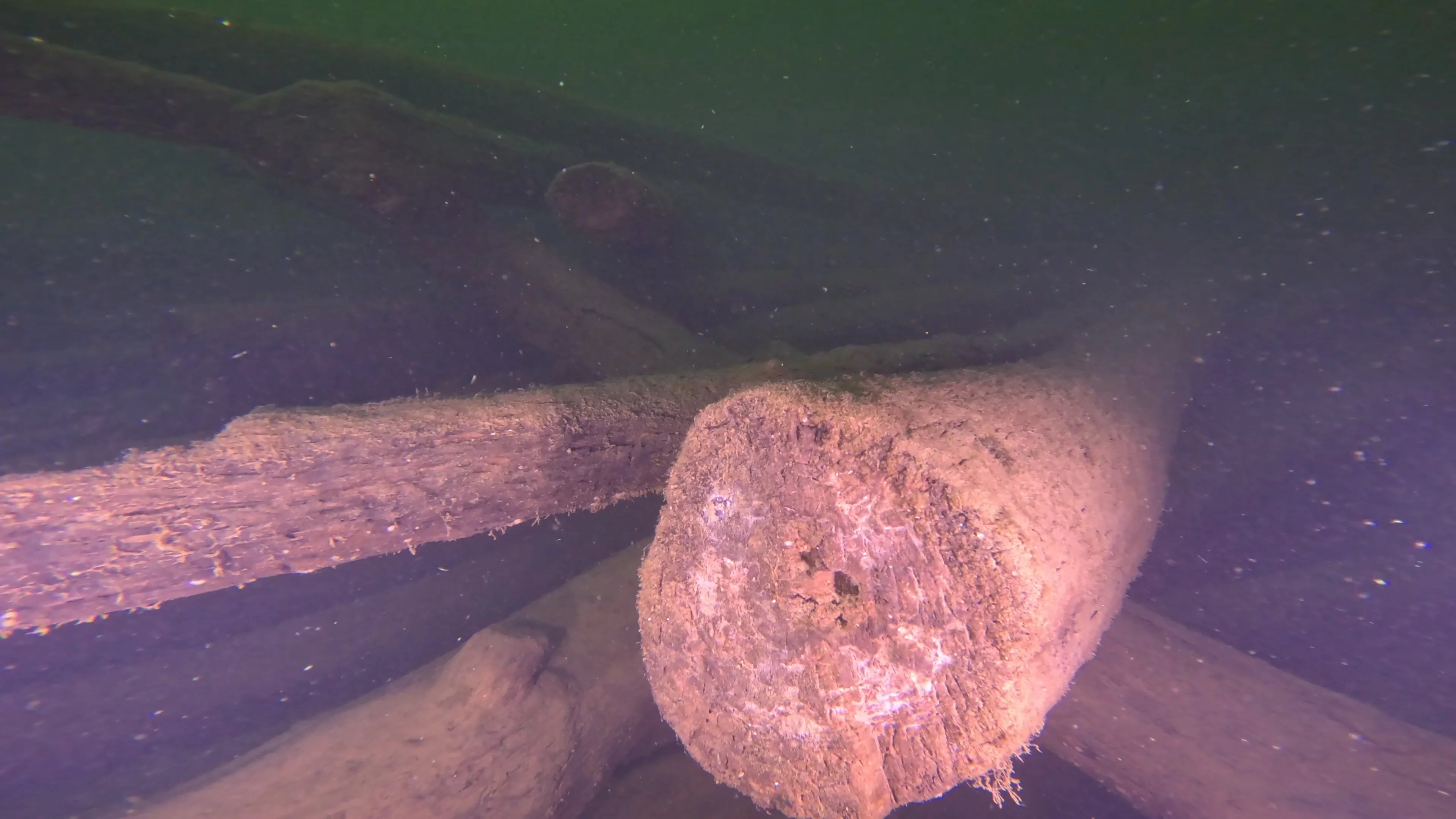 Log Pile Debris (LU025), Lake Union, Seattle, WA — main photo