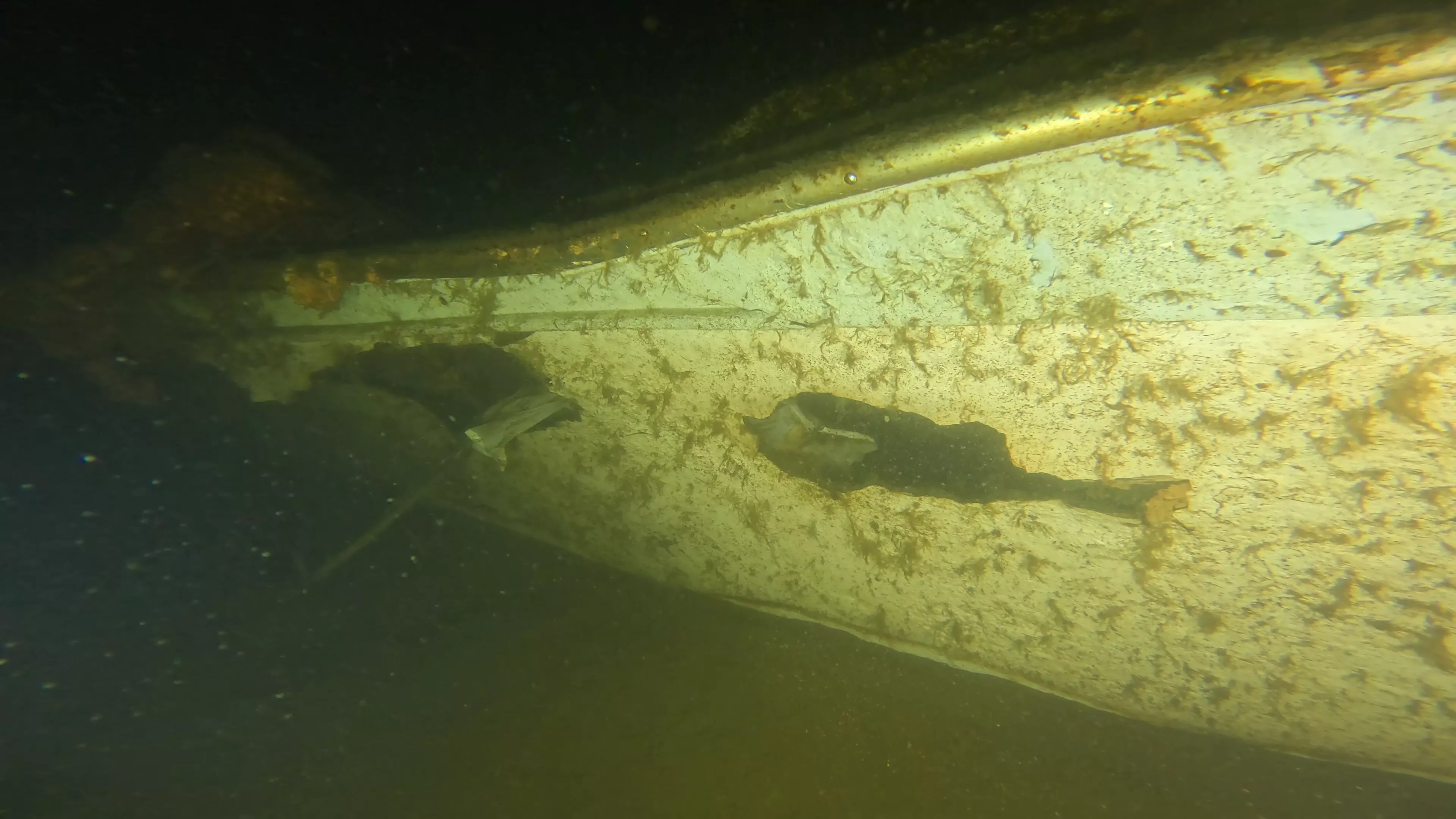 Quinn II: 28' Cabin Cruiser Wreck (LU026), Lake Union, Seattle, WA — photo 5 of 19