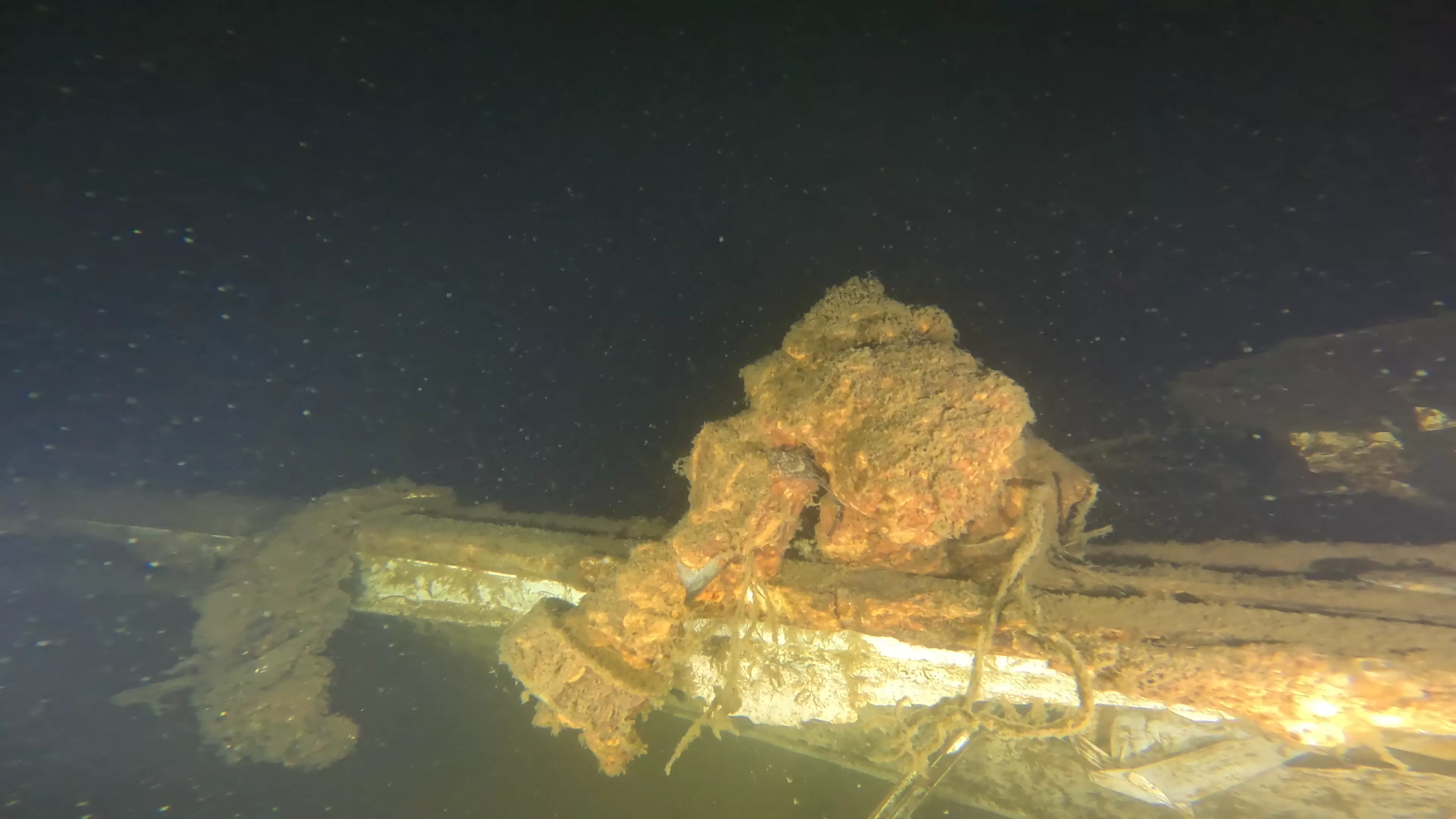 Quinn II: 28' Cabin Cruiser Wreck (LU026), Lake Union, Seattle, WA — photo 6 of 19