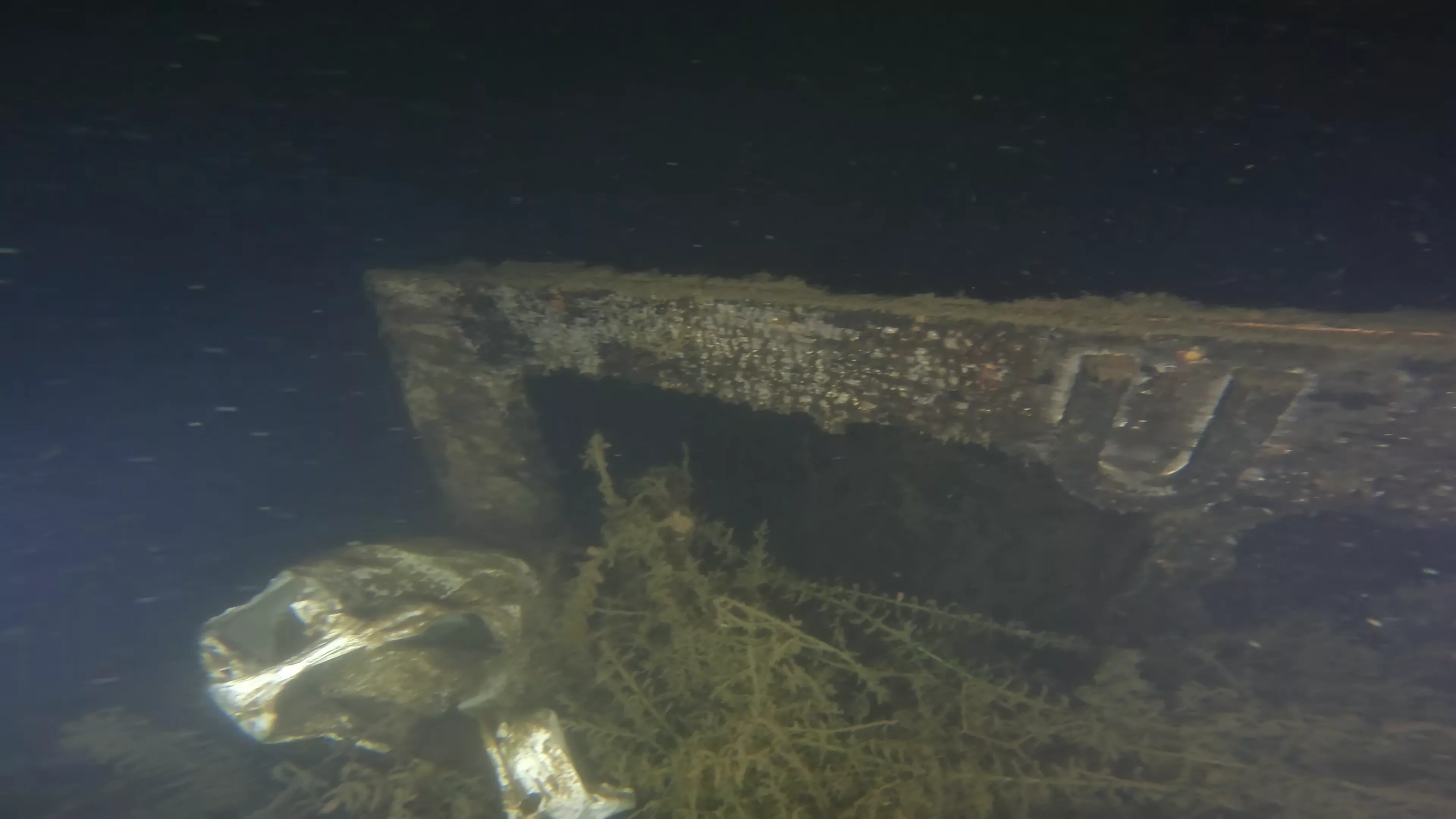 Quinn II: 28' Cabin Cruiser Wreck (LU026), Lake Union, Seattle, WA — photo 8 of 19