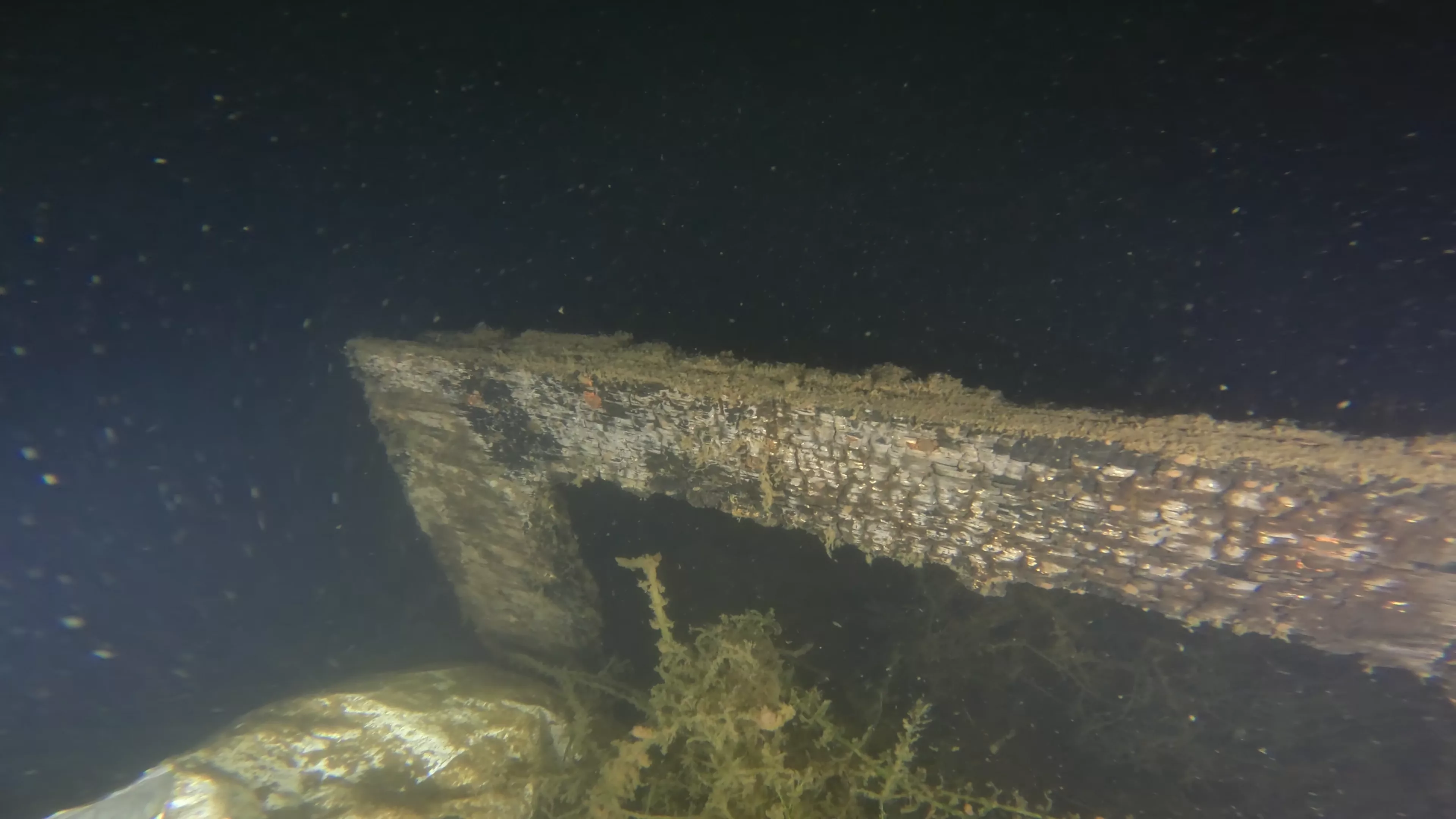 Quinn II: 28' Cabin Cruiser Wreck (LU026), Lake Union, Seattle, WA — photo 9 of 19