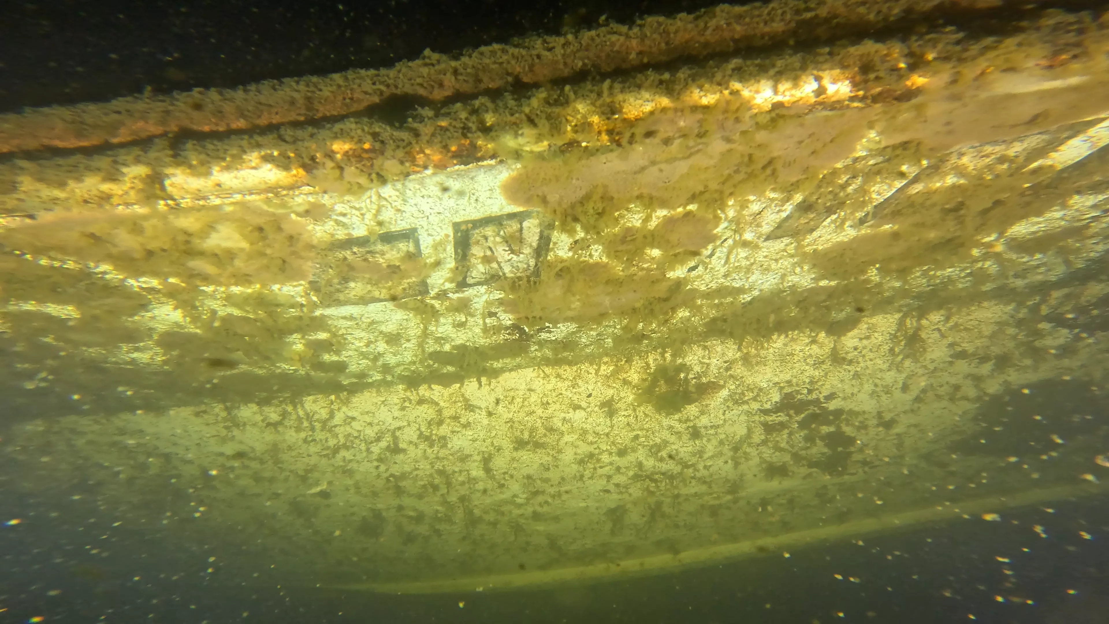 Quinn II: 28' Cabin Cruiser Wreck (LU026), Lake Union, Seattle, WA — photo 12 of 19