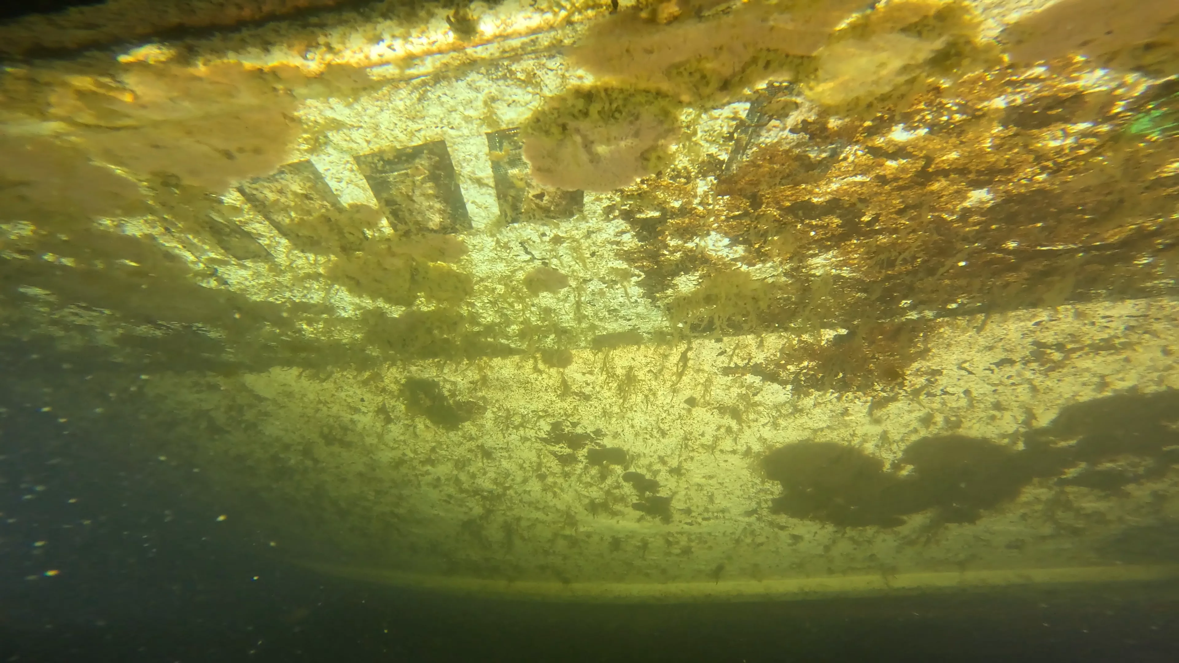 Quinn II: 28' Cabin Cruiser Wreck (LU026), Lake Union, Seattle, WA — photo 13 of 19
