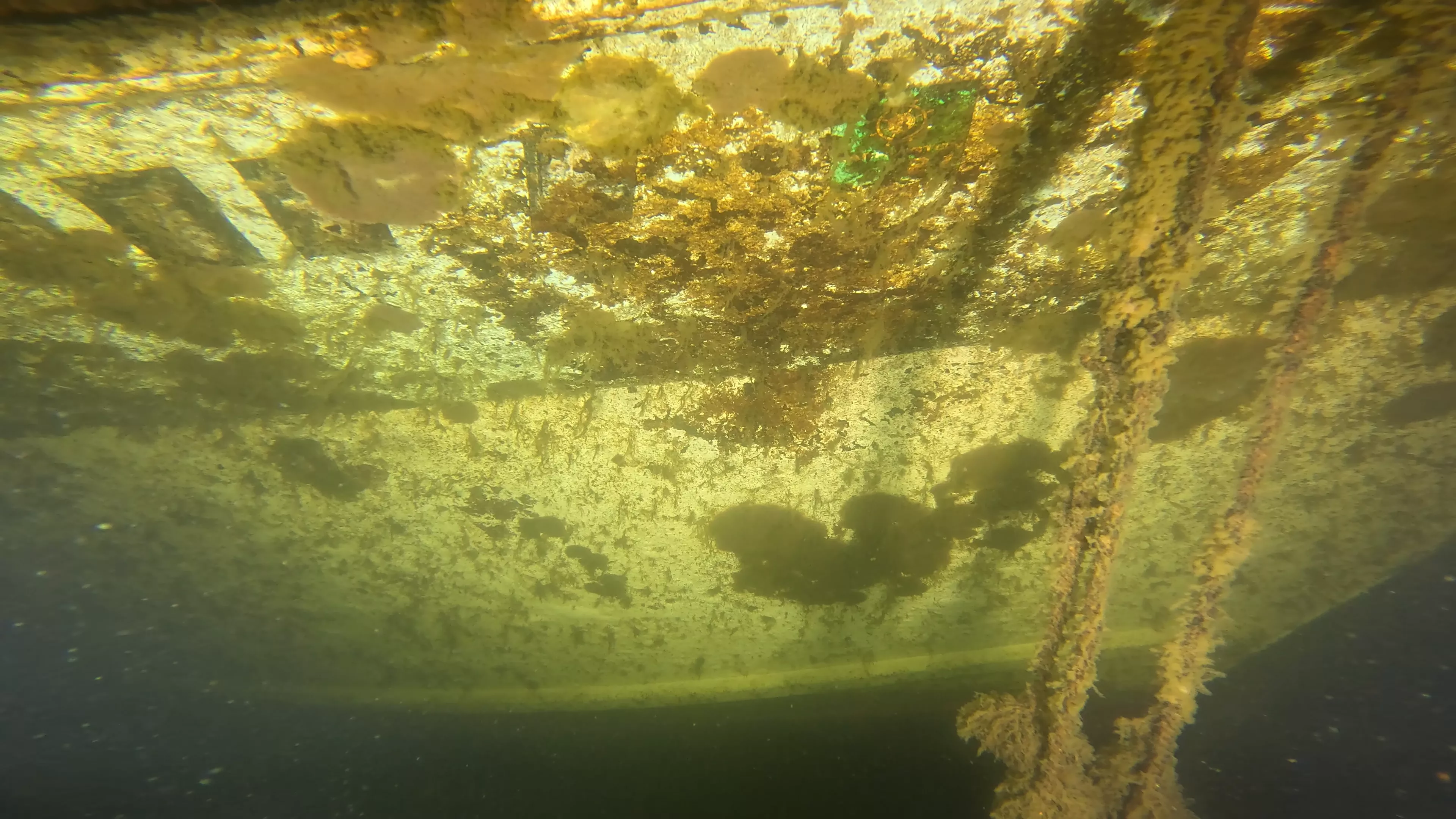 Quinn II: 28' Cabin Cruiser Wreck (LU026), Lake Union, Seattle, WA — photo 14 of 19