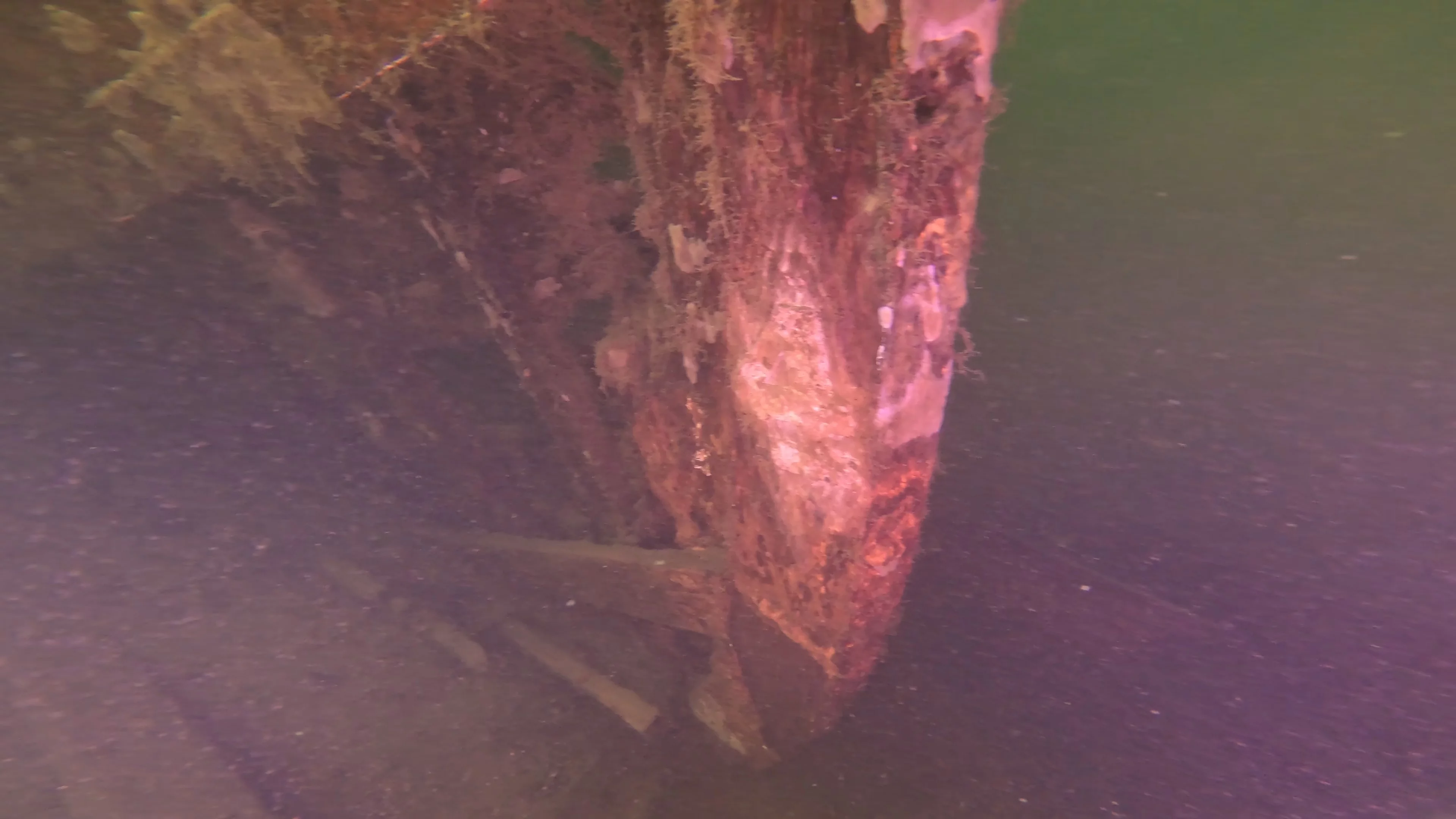 60' Wooden Wreck & Propeller (LU028), Lake Union, Seattle, WA — photo 3 of 57