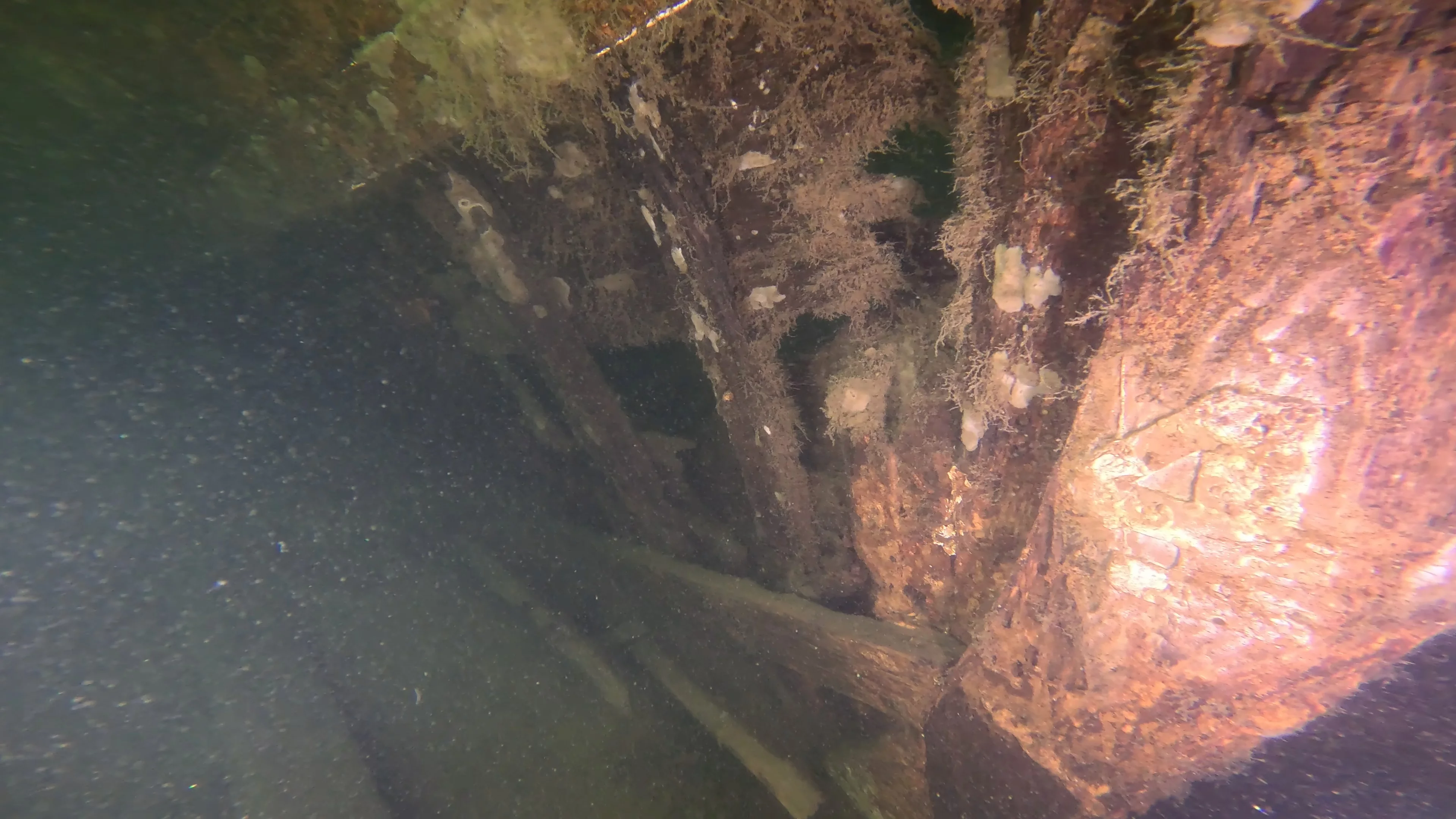 60' Wooden Wreck & Propeller (LU028), Lake Union, Seattle, WA — photo 4 of 57