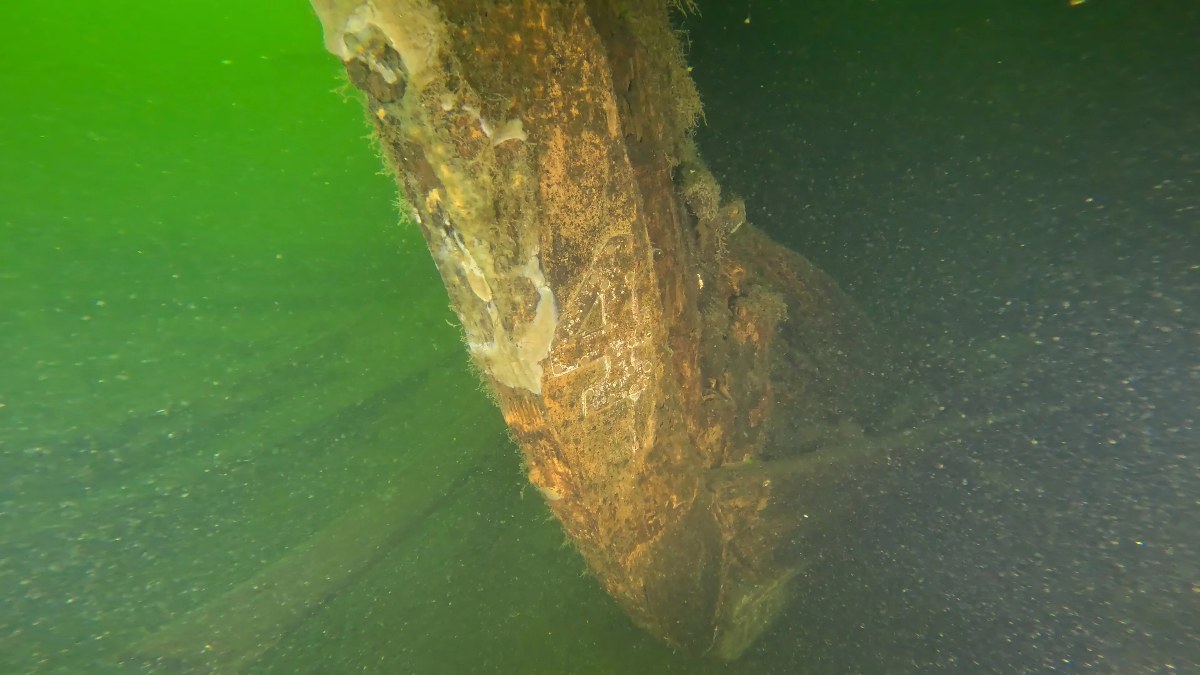 60' Wooden Wreck & Propeller (LU028), Lake Union, Seattle, WA — photo 6 of 57