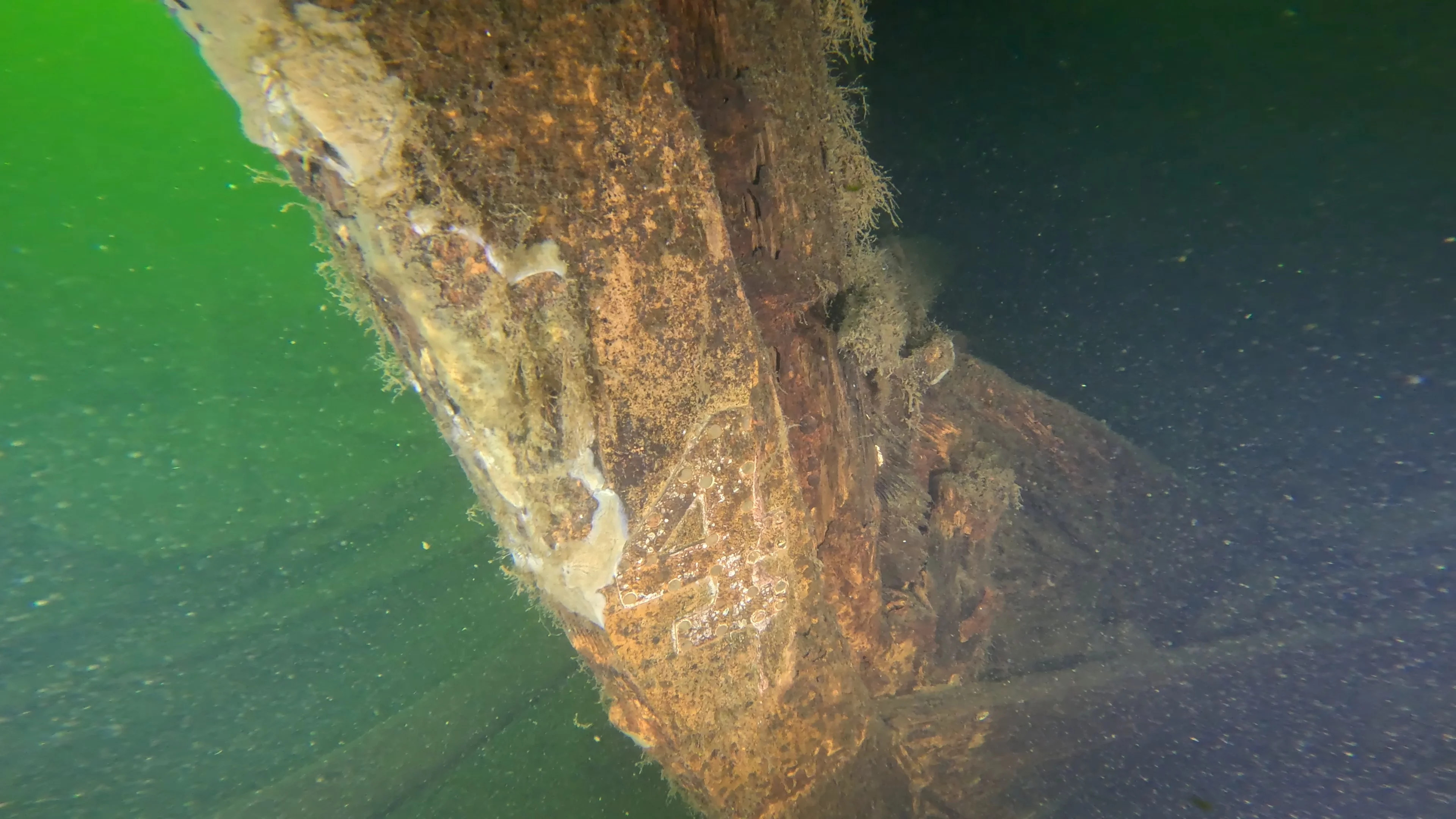 60' Wooden Wreck & Propeller (LU028), Lake Union, Seattle, WA — photo 7 of 57