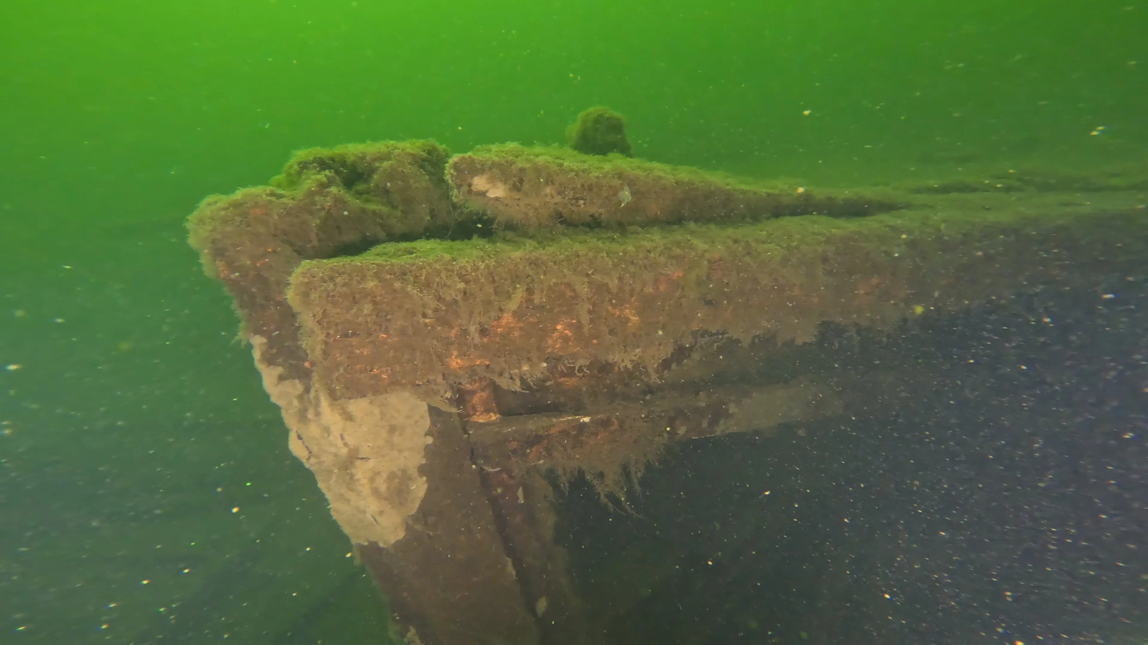 60' Wooden Wreck & Propeller (LU028), Lake Union, Seattle, WA — photo 8 of 57