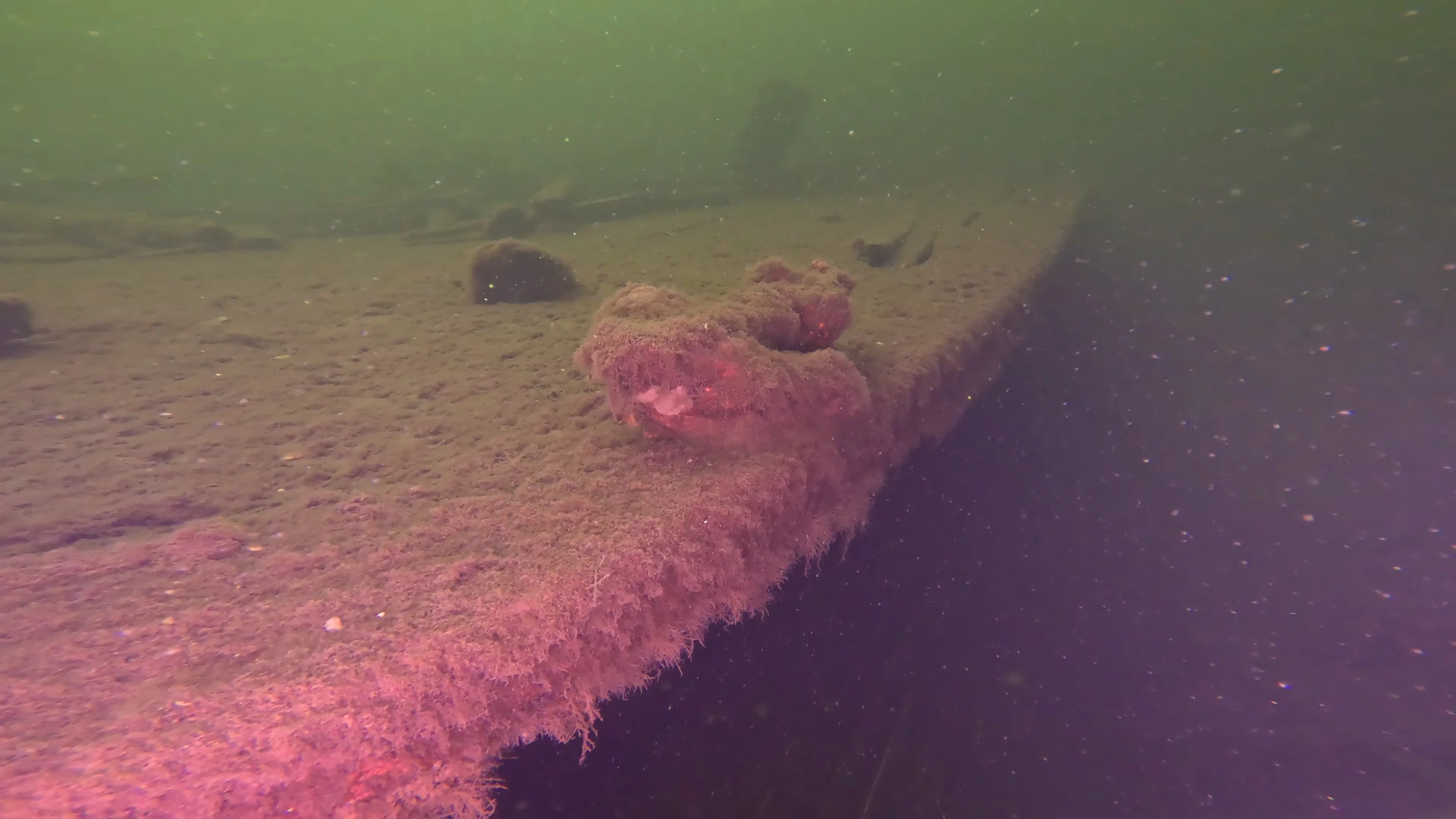 60' Wooden Wreck & Propeller (LU028), Lake Union, Seattle, WA — photo 9 of 57