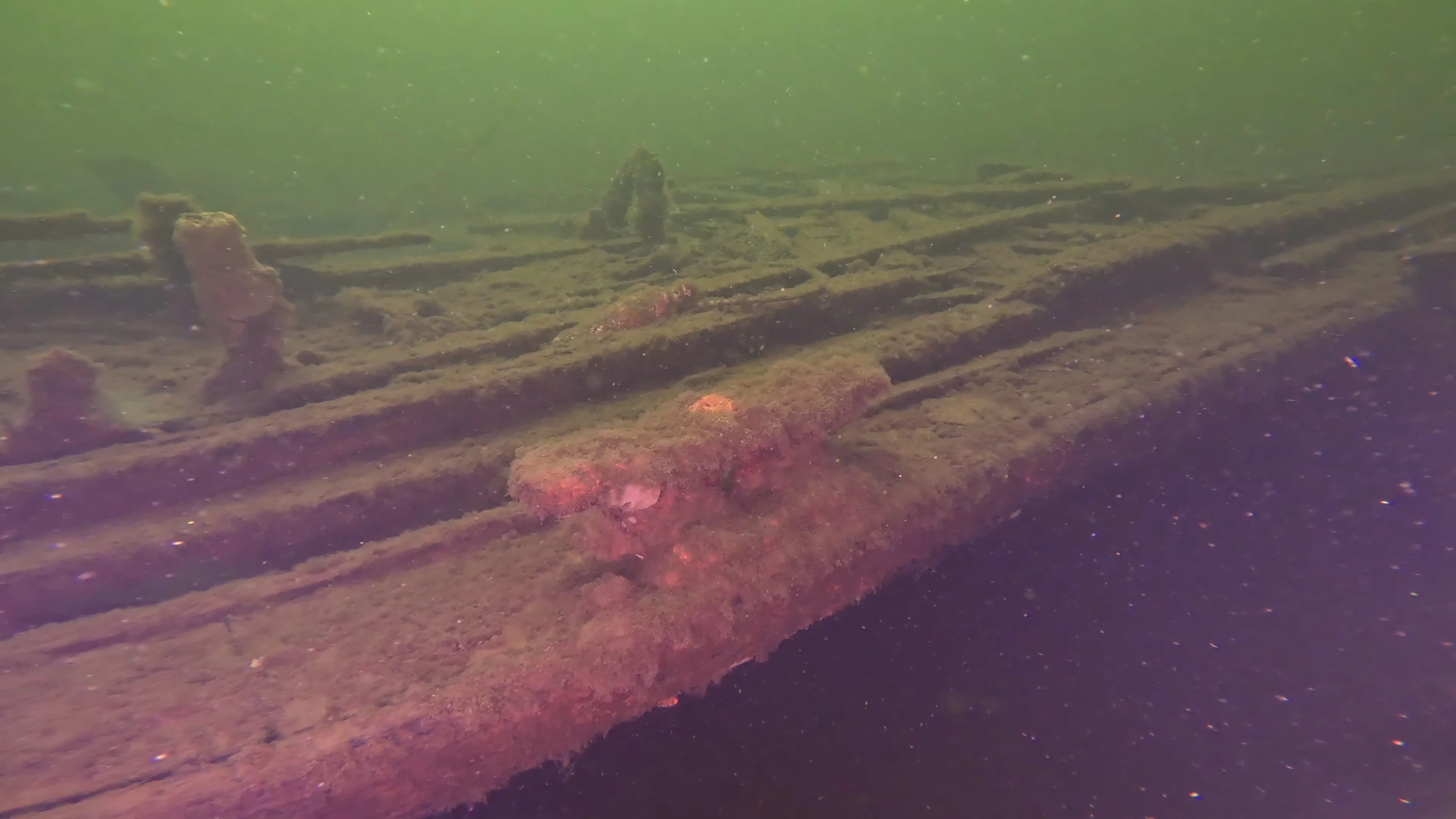 60' Wooden Wreck & Propeller (LU028), Lake Union, Seattle, WA — photo 11 of 57