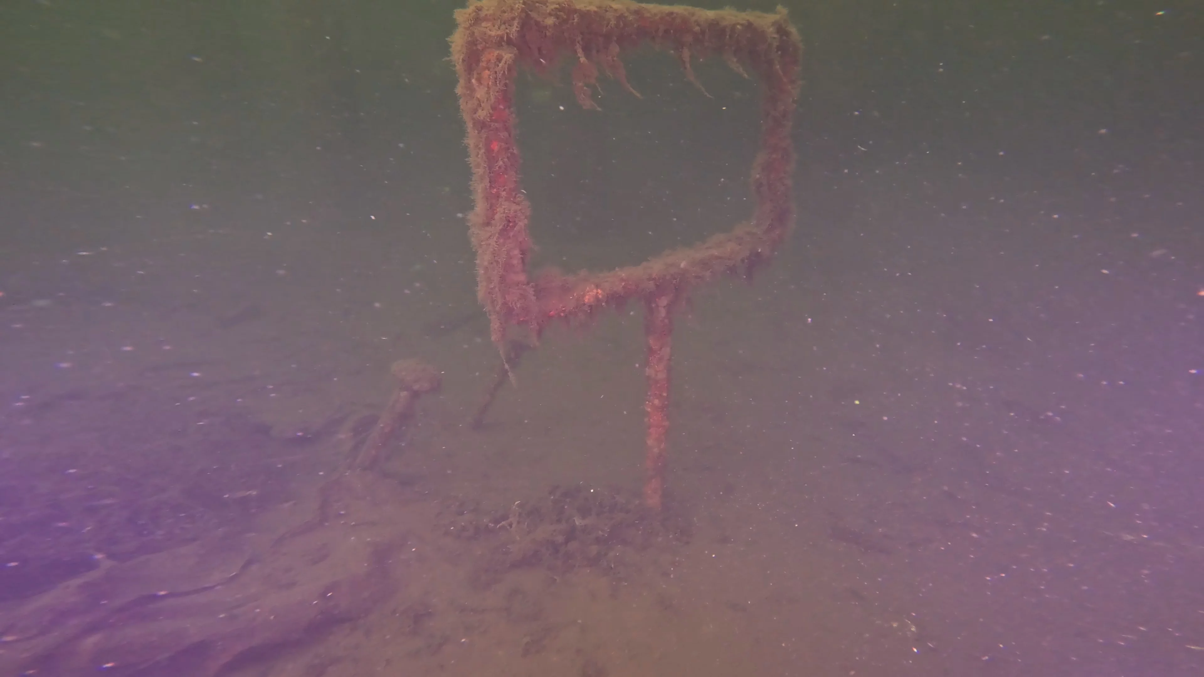 60' Wooden Wreck & Propeller (LU028), Lake Union, Seattle, WA — photo 14 of 57
