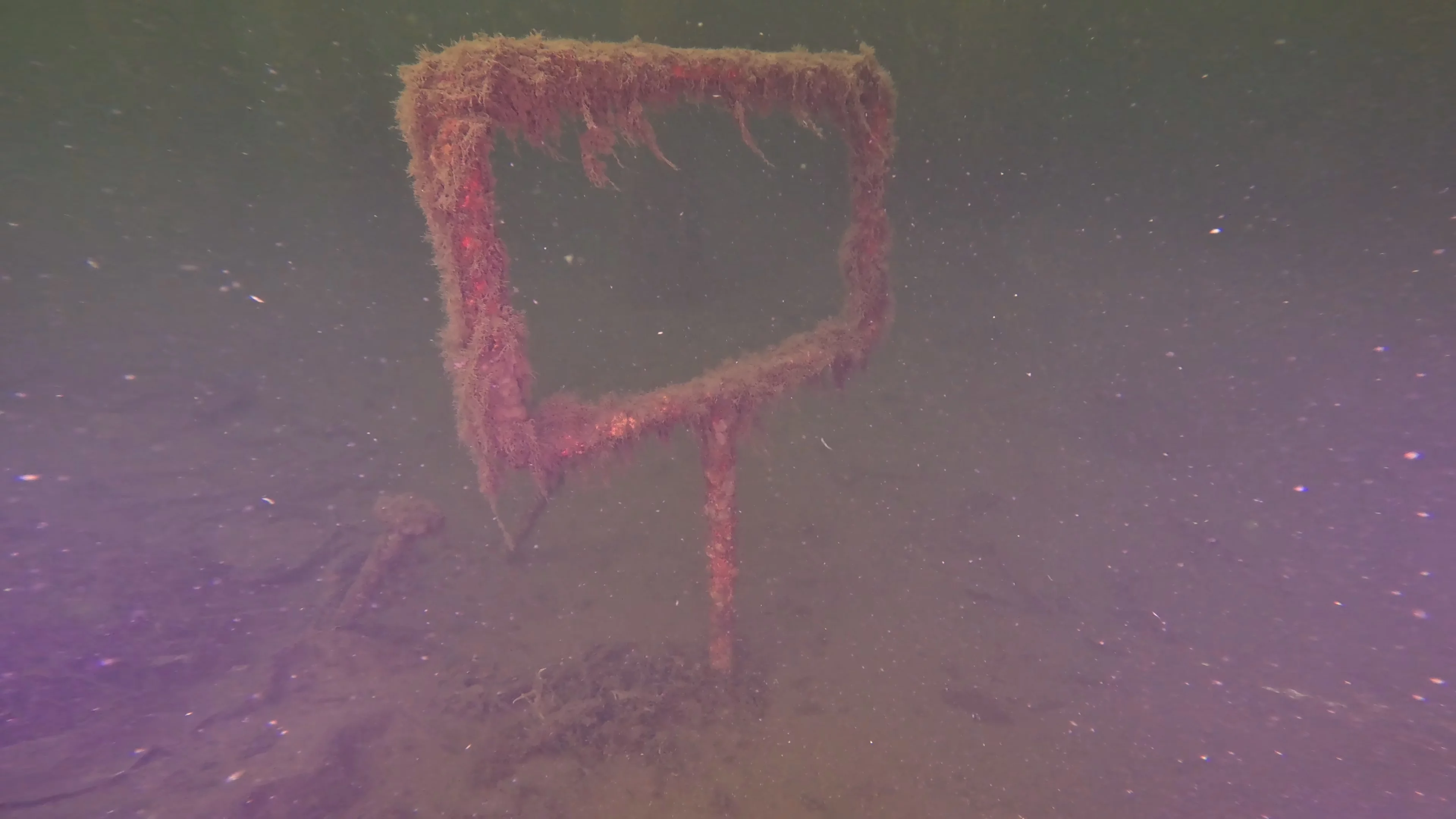 60' Wooden Wreck & Propeller (LU028), Lake Union, Seattle, WA — photo 15 of 57