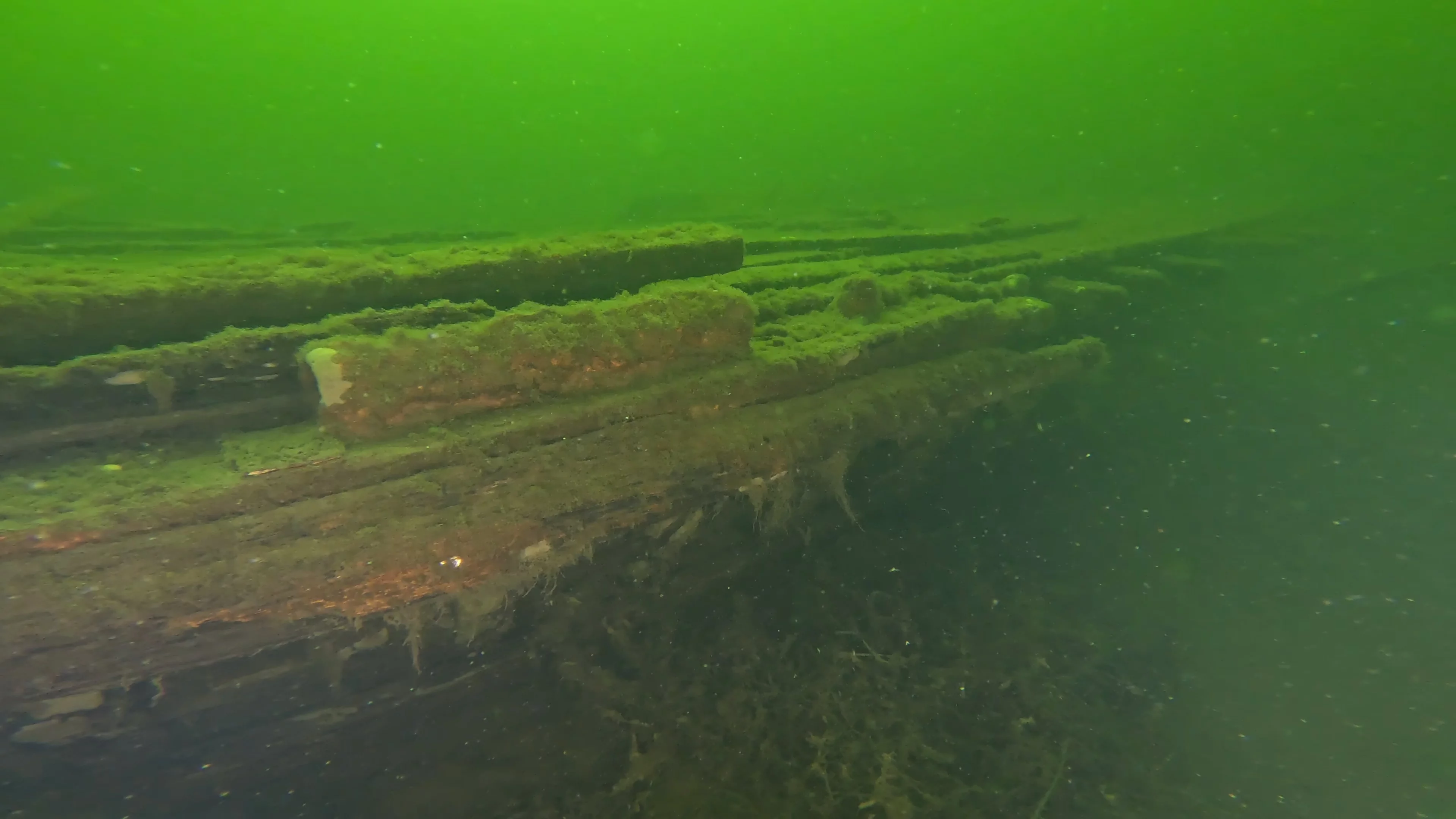 60' Wooden Wreck & Propeller (LU028), Lake Union, Seattle, WA — photo 16 of 57