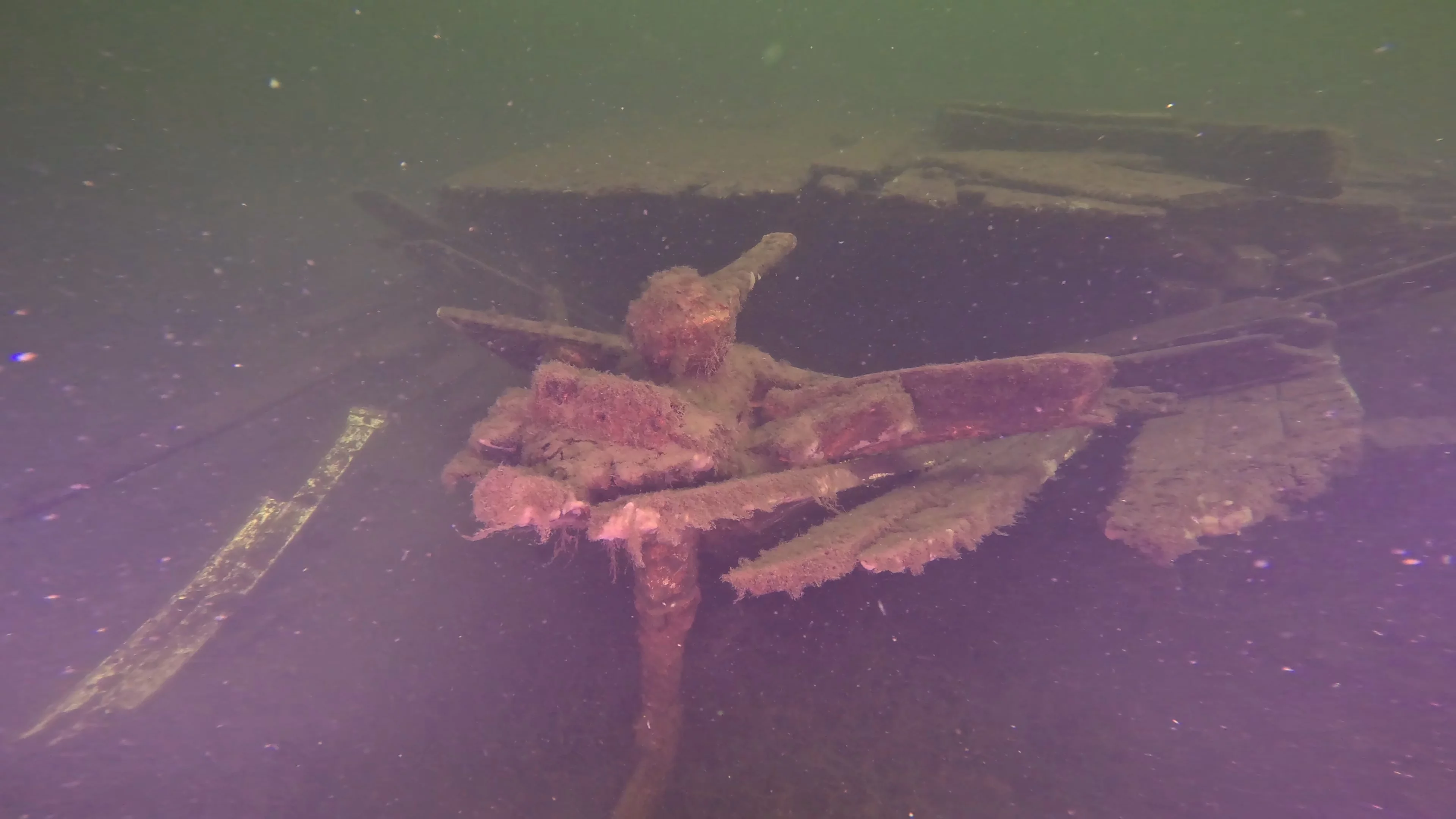 60' Wooden Wreck & Propeller (LU028), Lake Union, Seattle, WA — photo 21 of 57