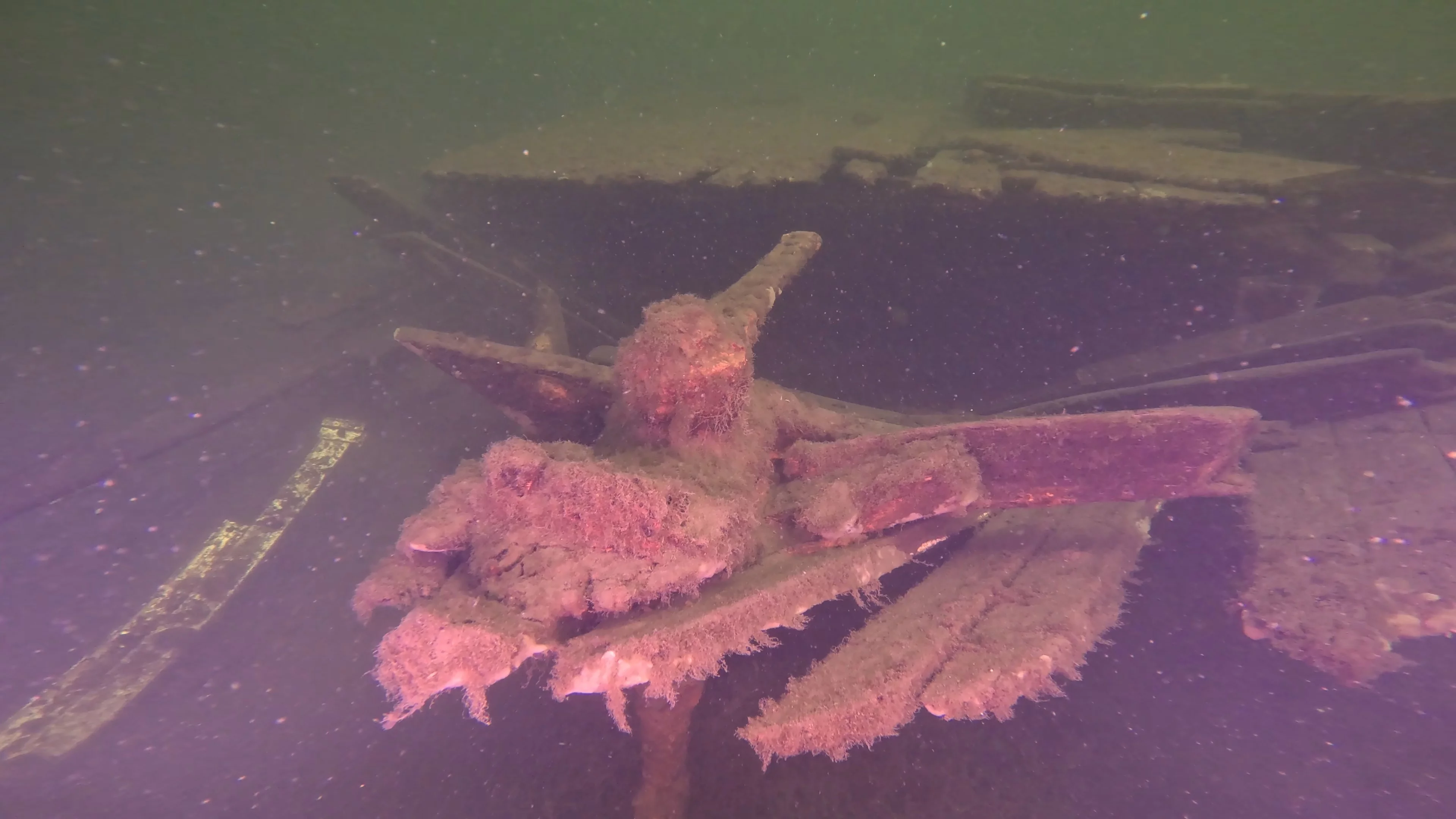 60' Wooden Wreck & Propeller (LU028), Lake Union, Seattle, WA — photo 23 of 57