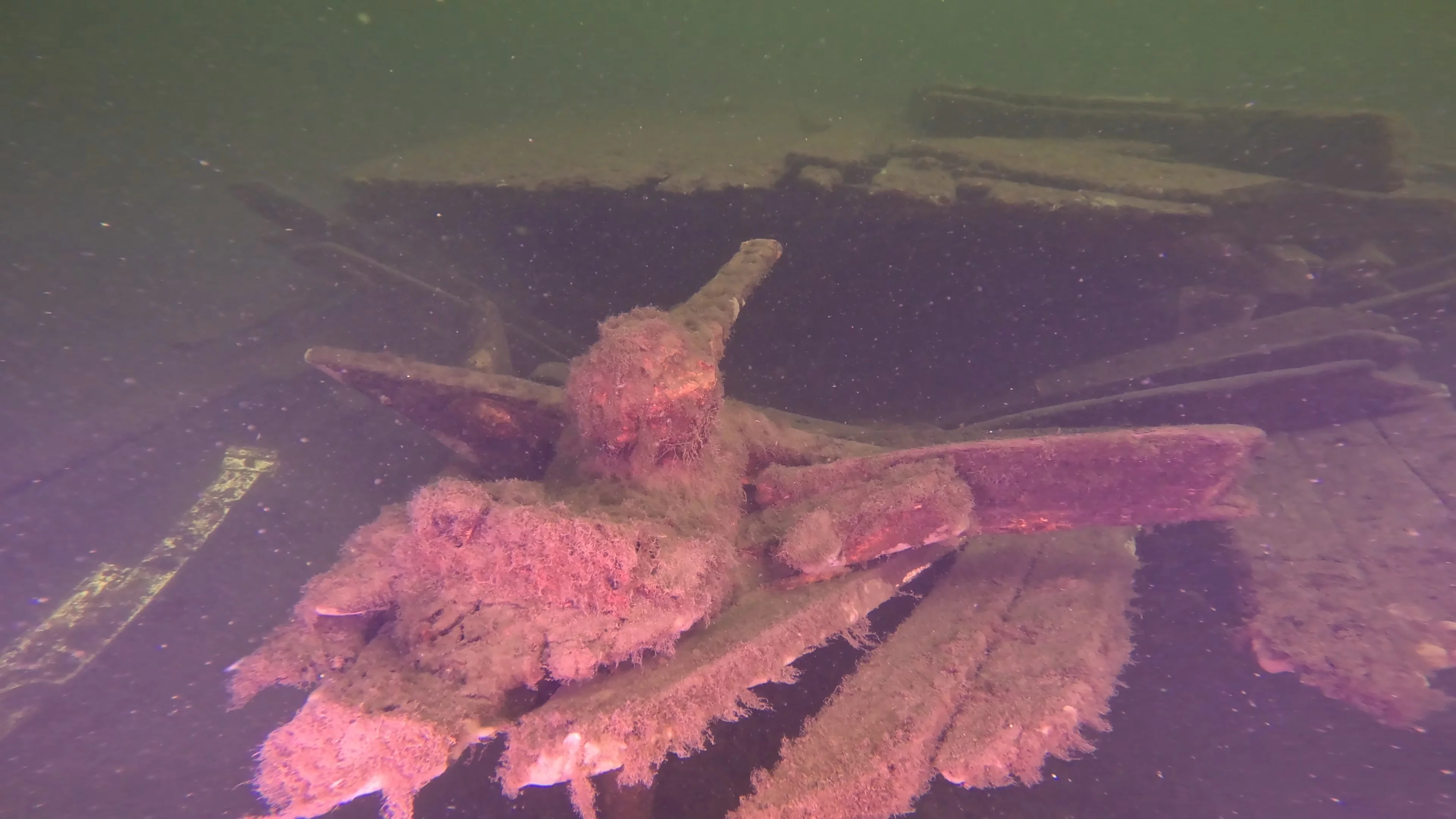 60' Wooden Wreck & Propeller (LU028), Lake Union, Seattle, WA — photo 24 of 57