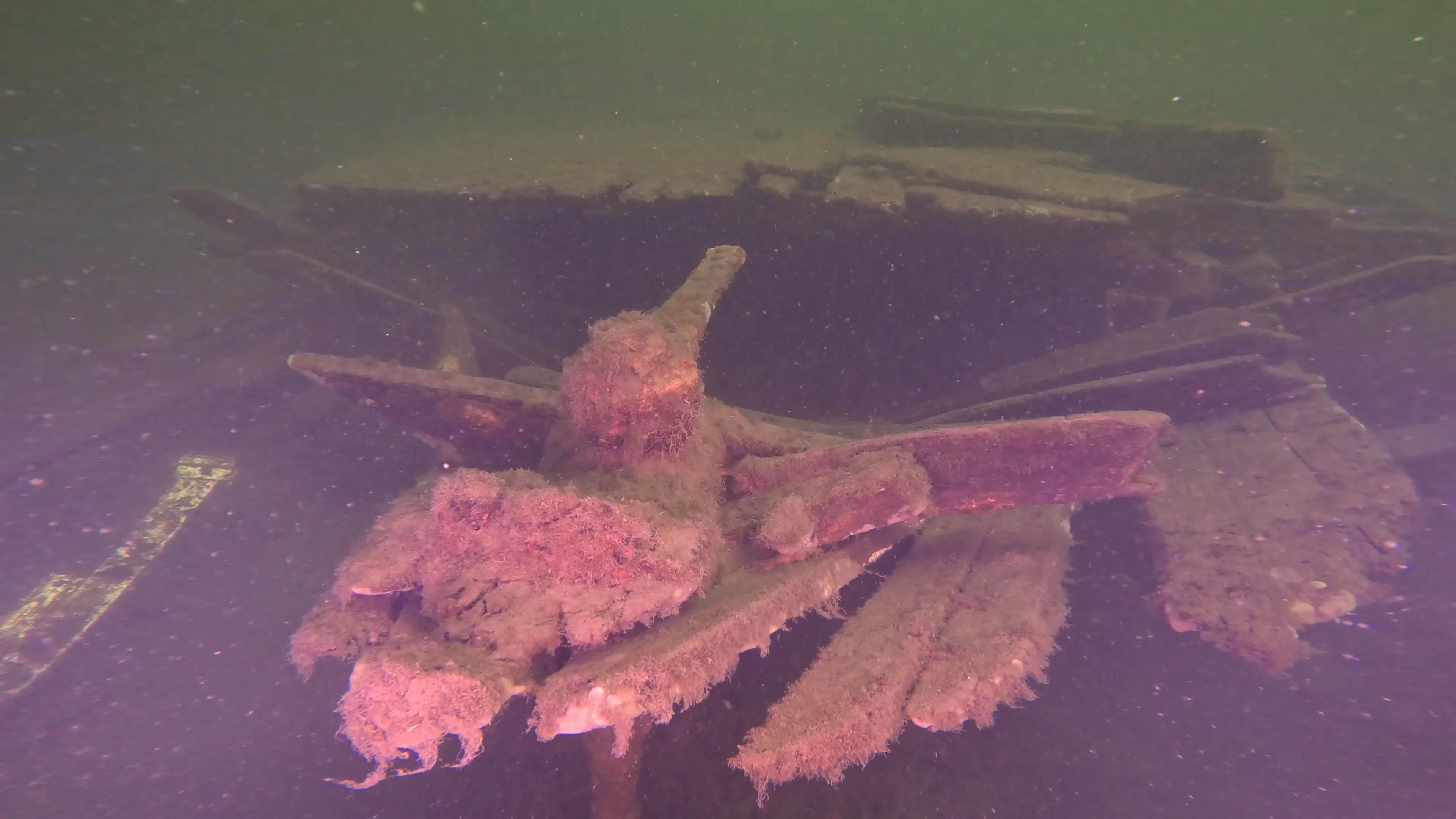 60' Wooden Wreck & Propeller (LU028), Lake Union, Seattle, WA — photo 25 of 57
