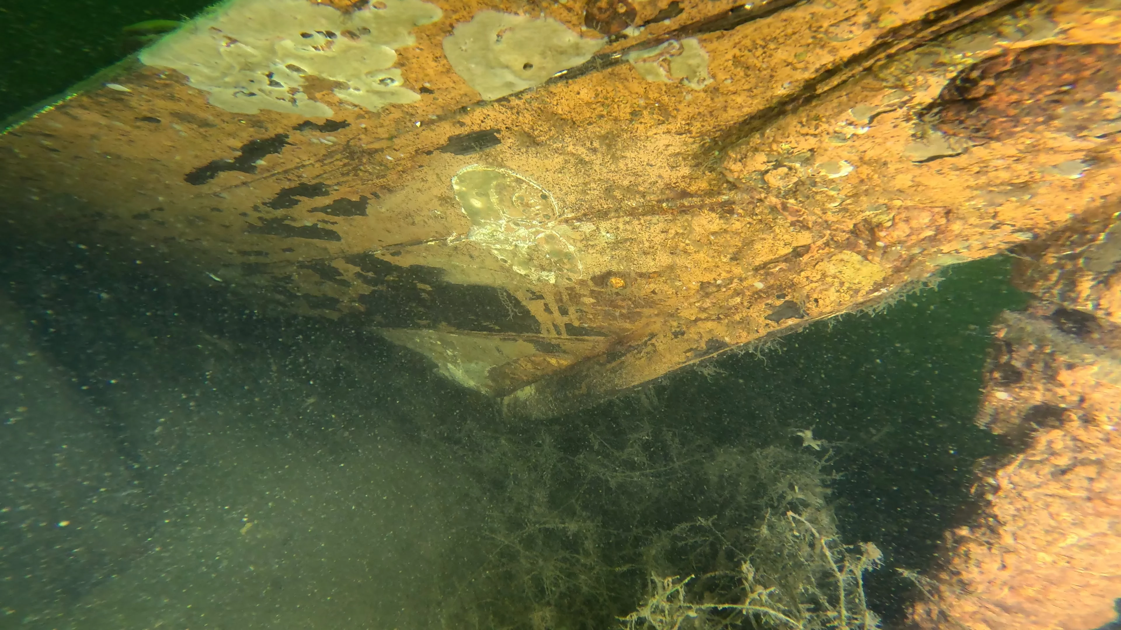60' Wooden Wreck & Propeller (LU028), Lake Union, Seattle, WA — photo 29 of 57