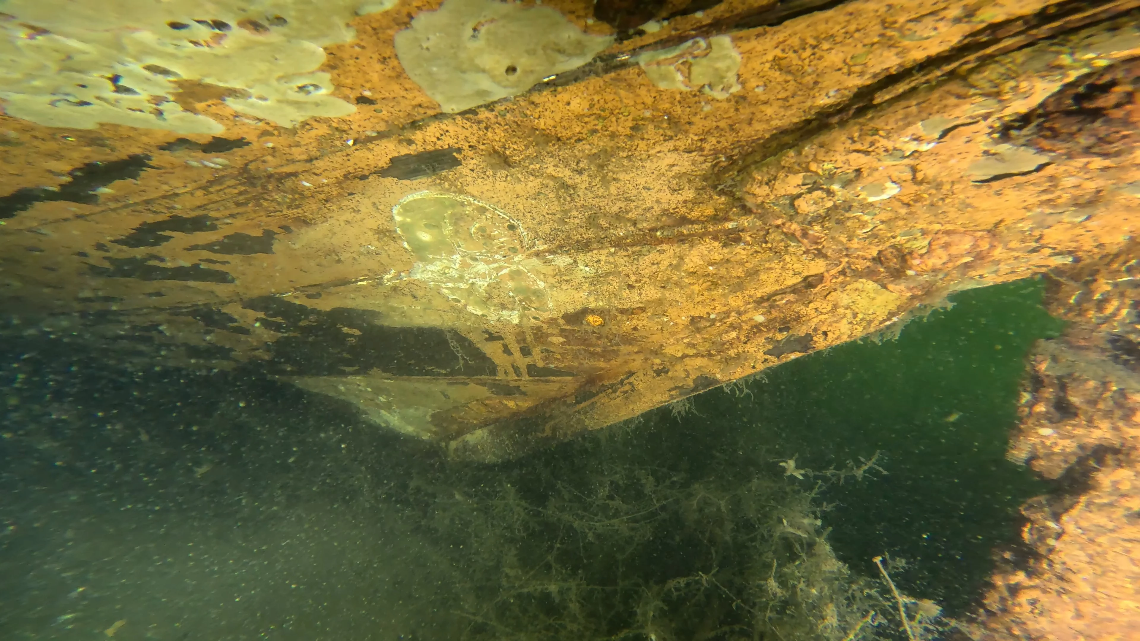 60' Wooden Wreck & Propeller (LU028), Lake Union, Seattle, WA — photo 30 of 57