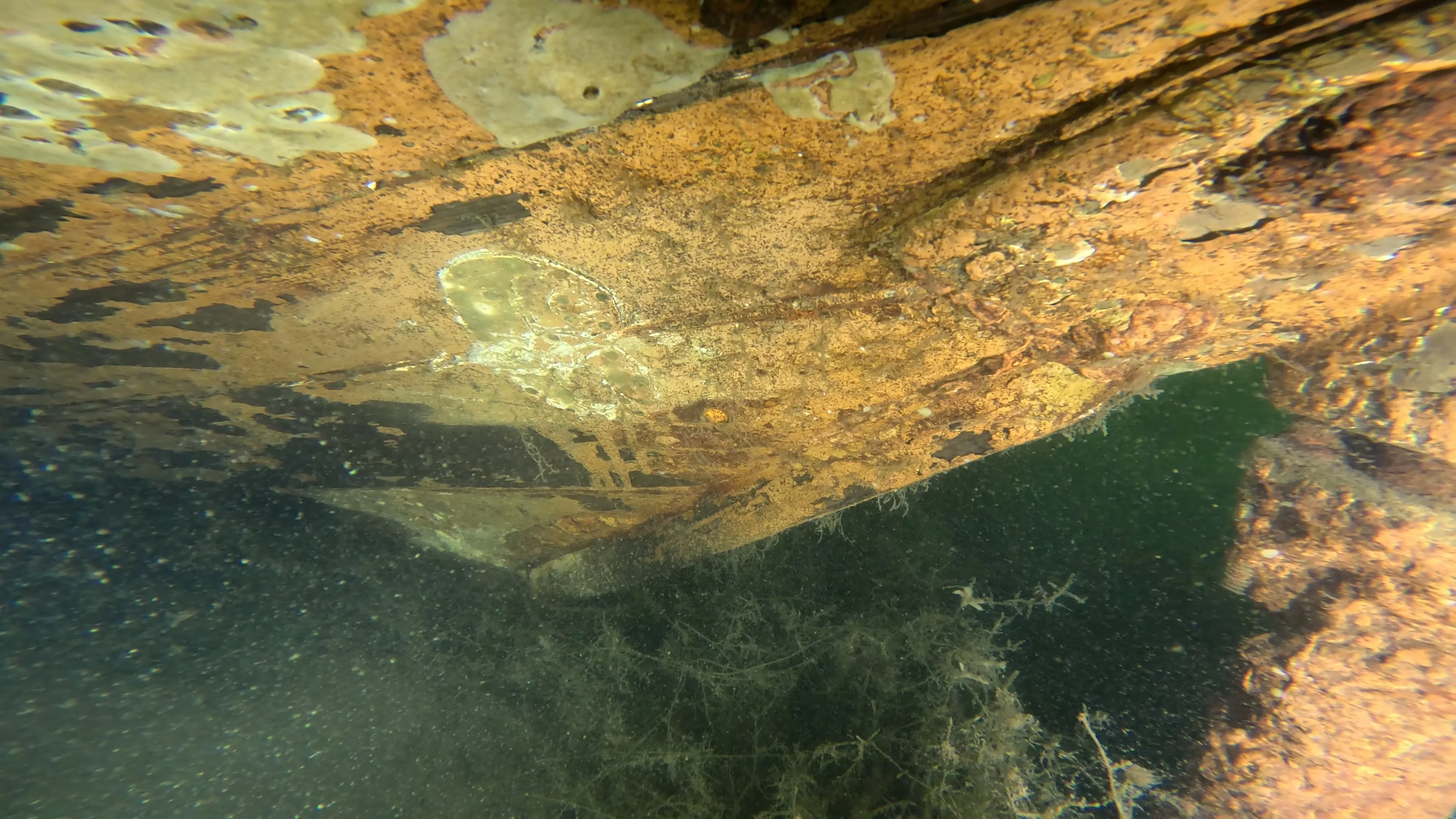60' Wooden Wreck & Propeller (LU028), Lake Union, Seattle, WA — photo 31 of 57
