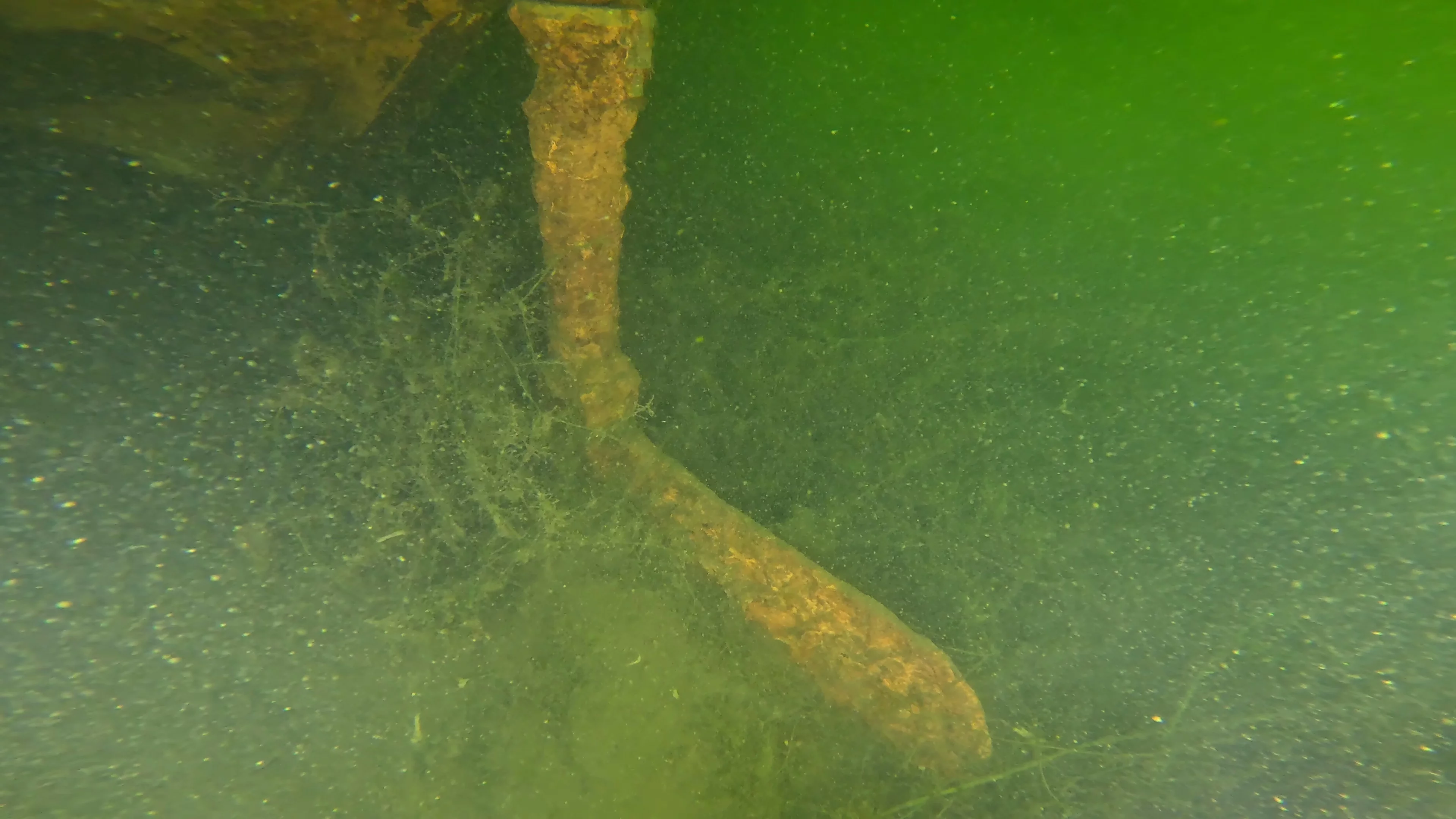 60' Wooden Wreck & Propeller (LU028), Lake Union, Seattle, WA — photo 32 of 57