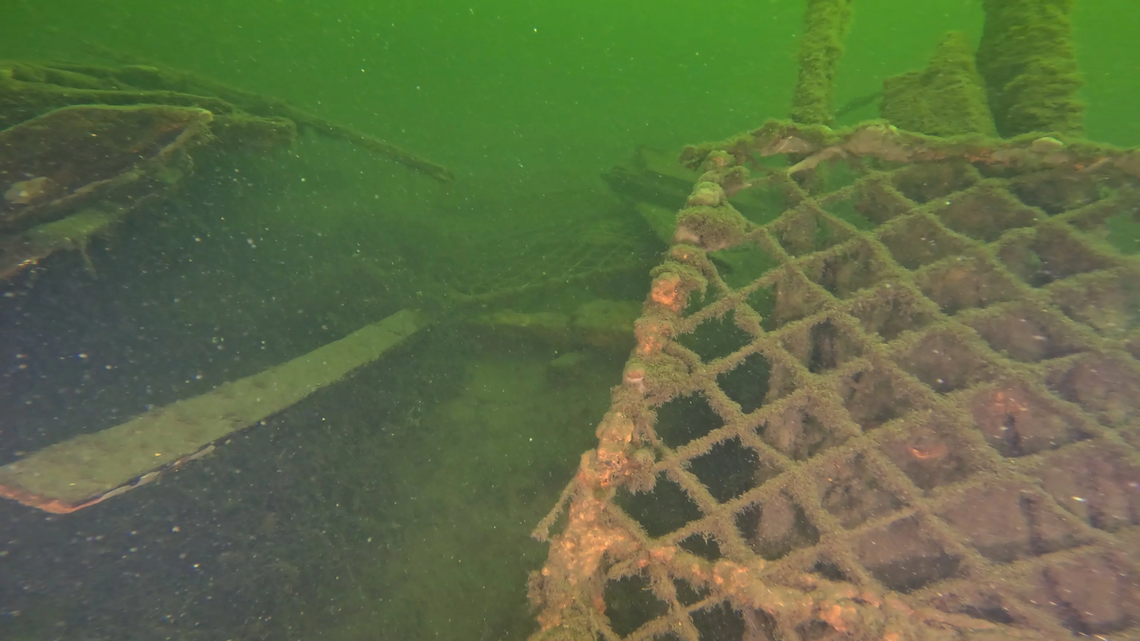 60' Wooden Wreck & Propeller (LU028), Lake Union, Seattle, WA — photo 34 of 57